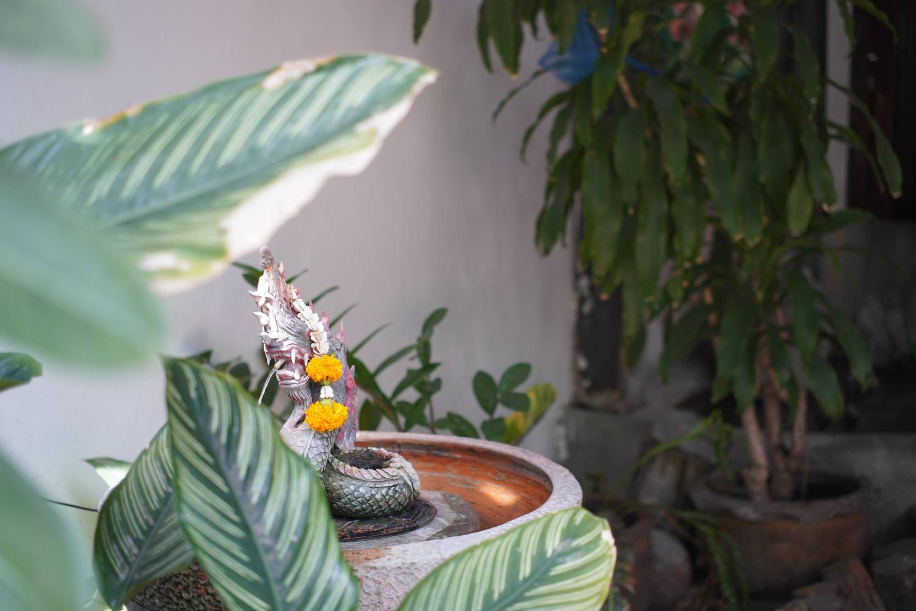 A House Boutique Guesthouse - Image 4