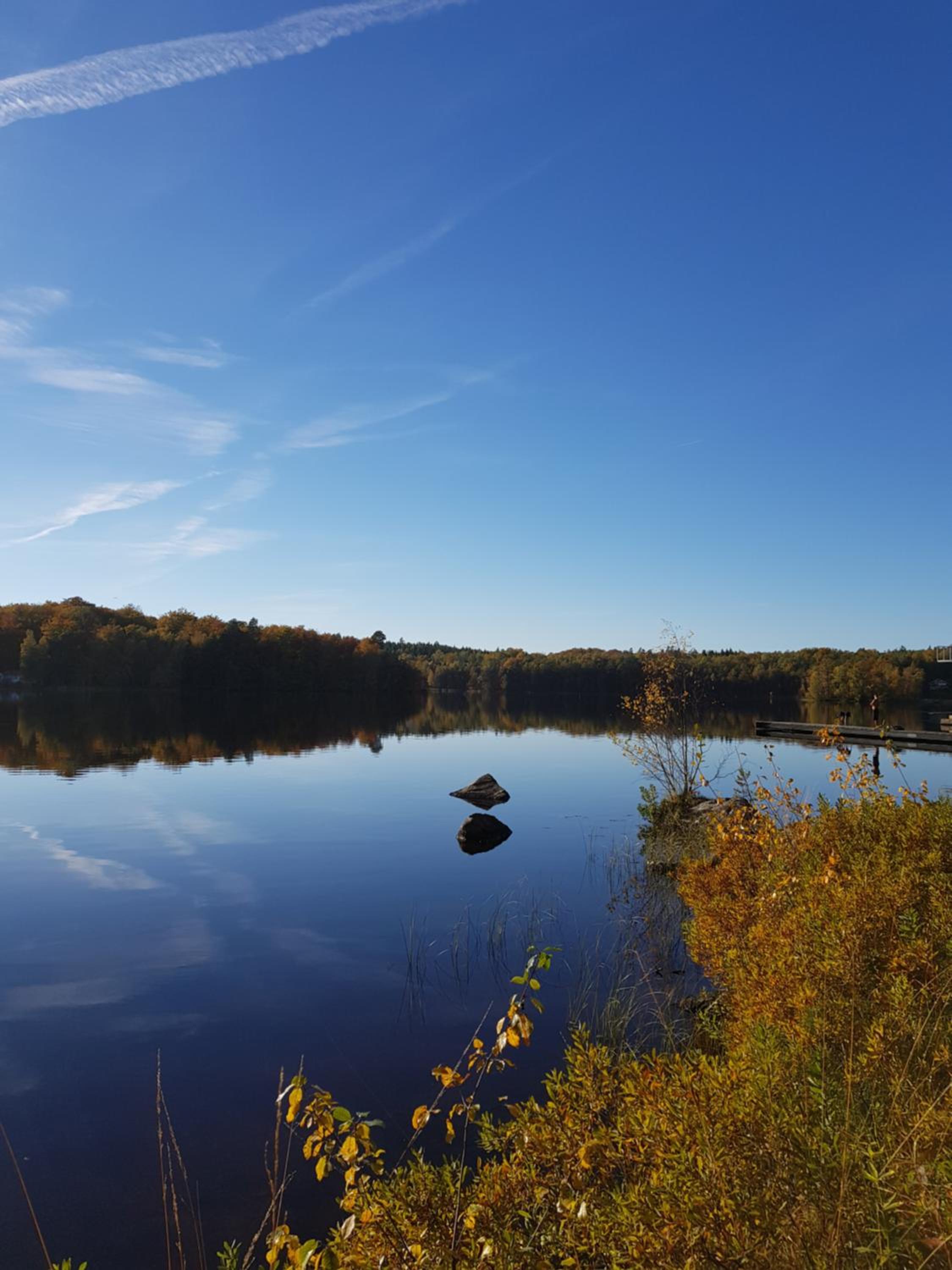 Halens Camping och Stugby, photo 14