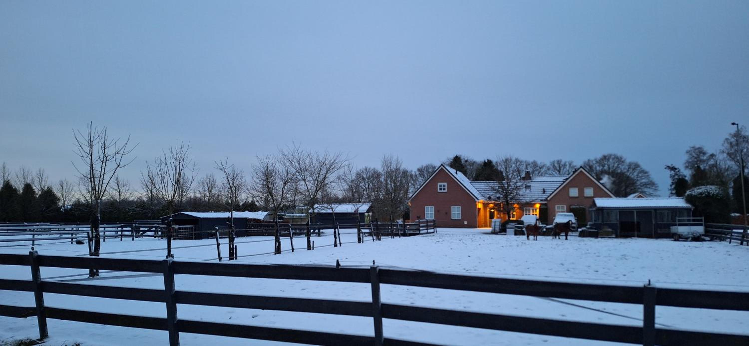 Photo 53