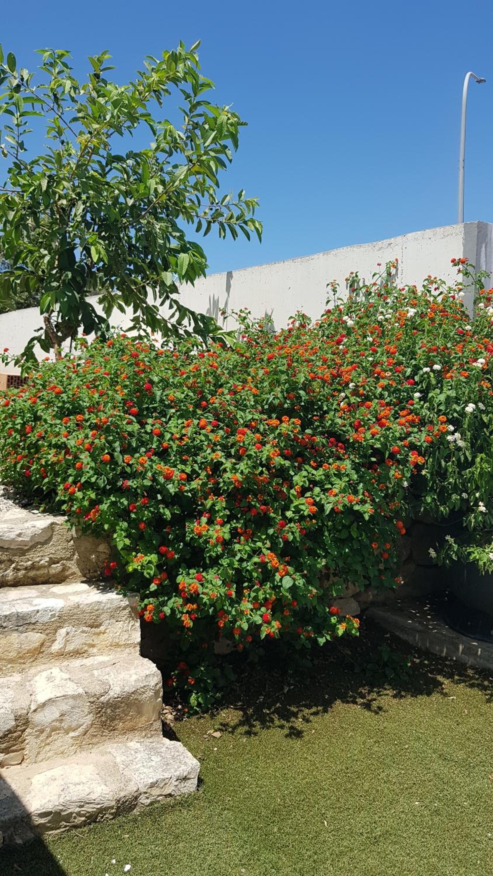 Lenia's Sea View Villa