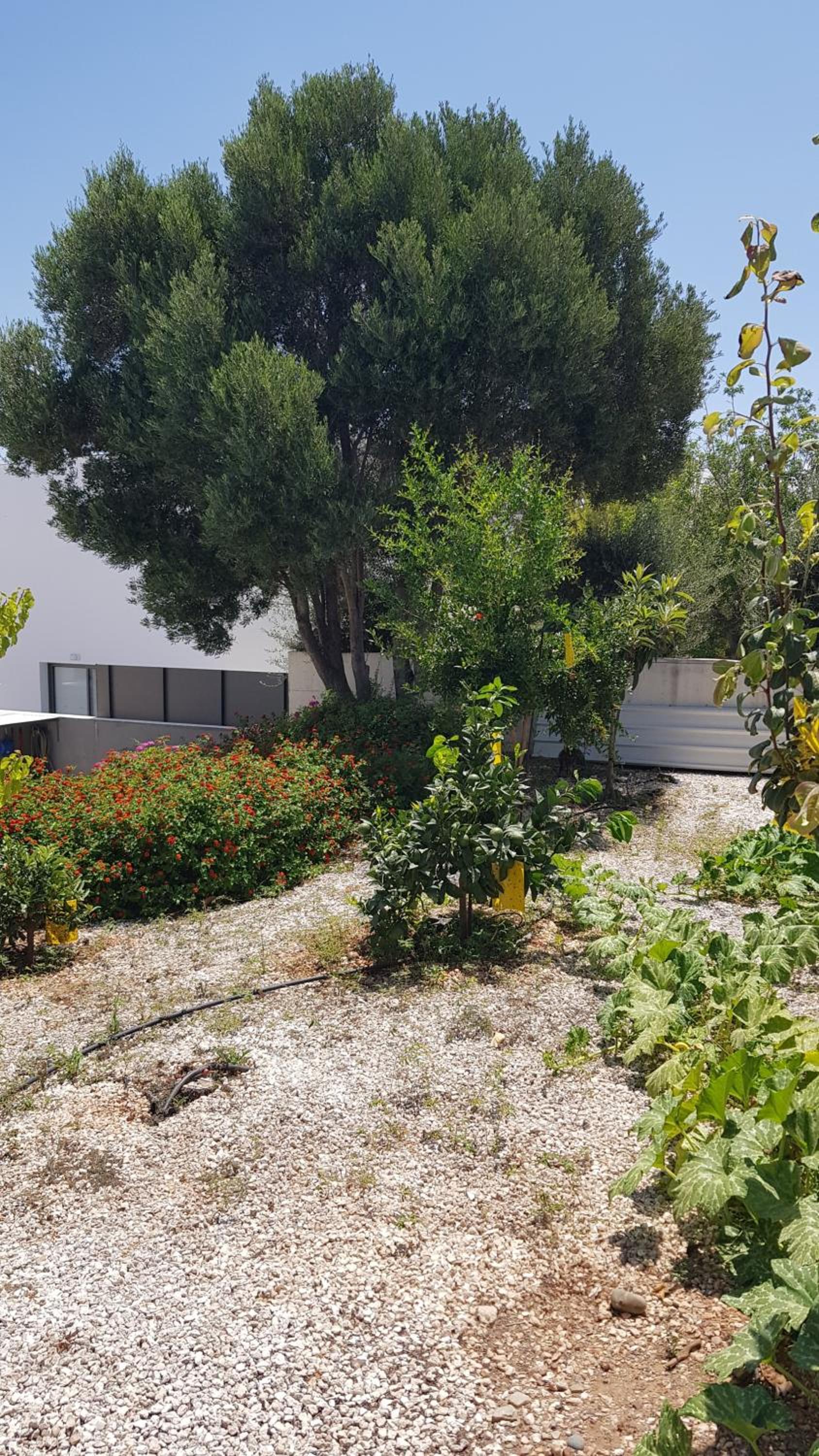 Lenia's Sea View Villa