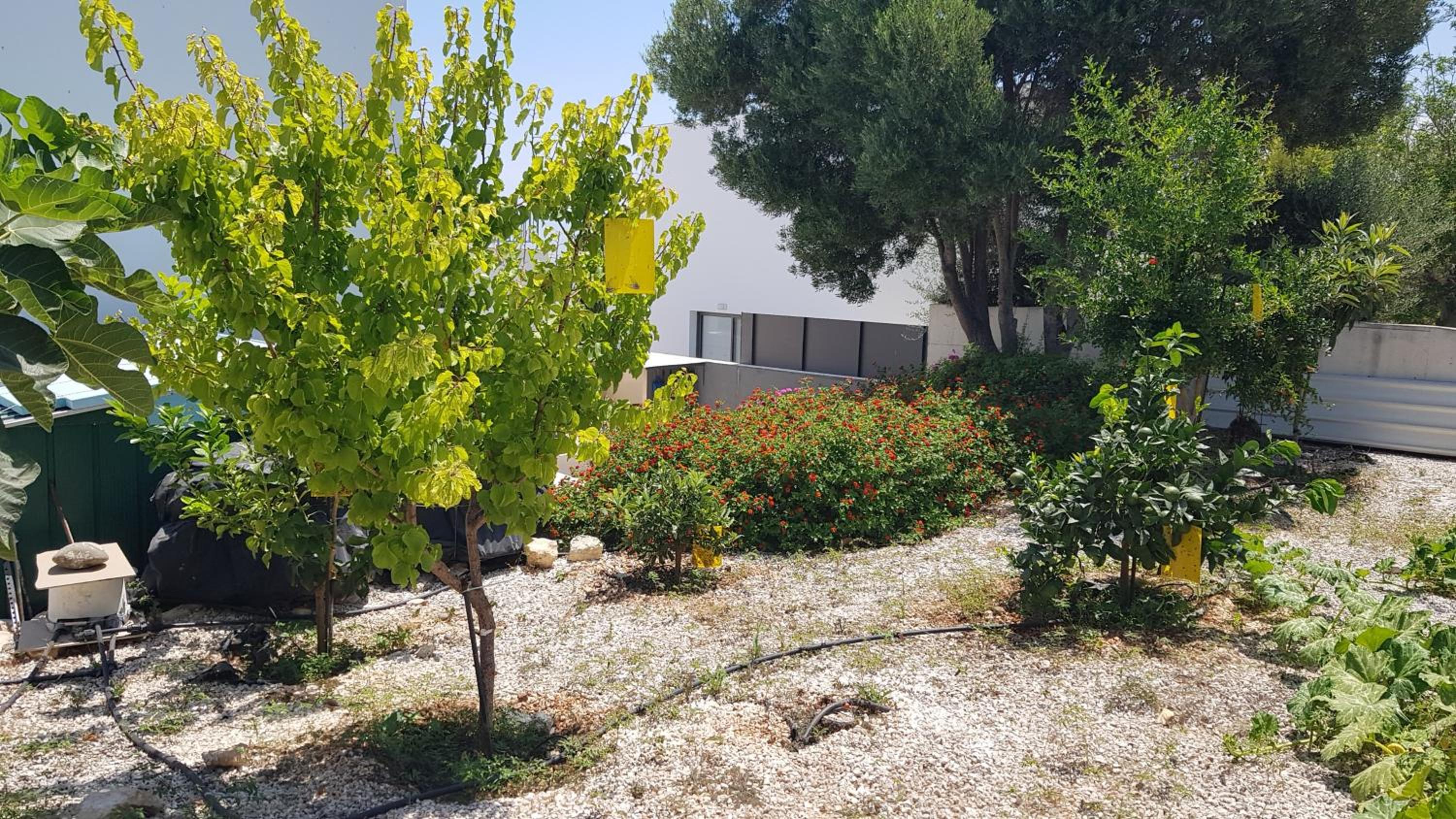 Lenia's Sea View Villa