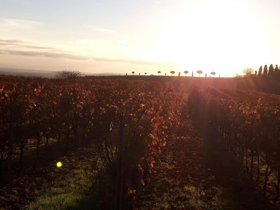 Villa Clair Soleil au cœur de la Toscane Occitane
