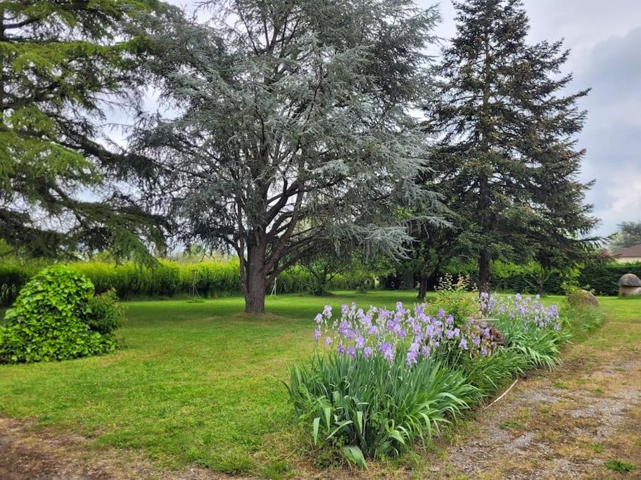 Villa Clair Soleil au cœur de la Toscane Occitane