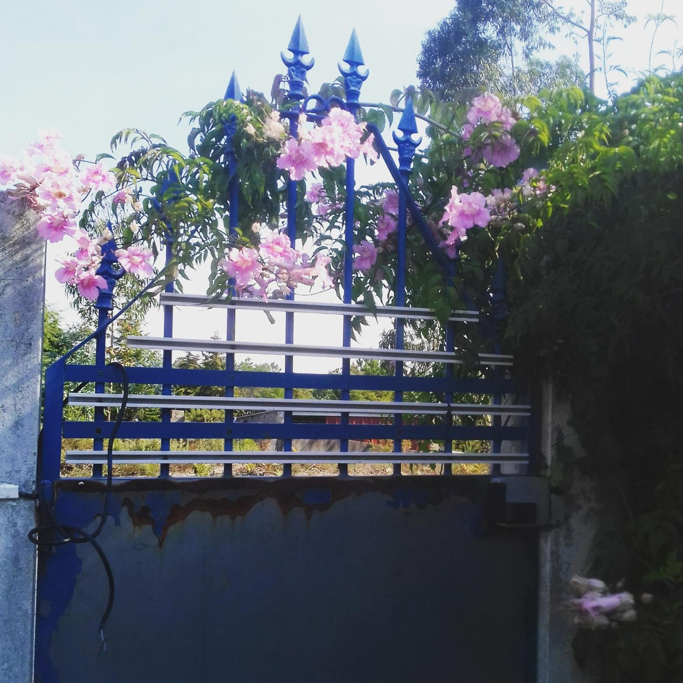 Comfortable studio in Nazare with shared pool 30 m²