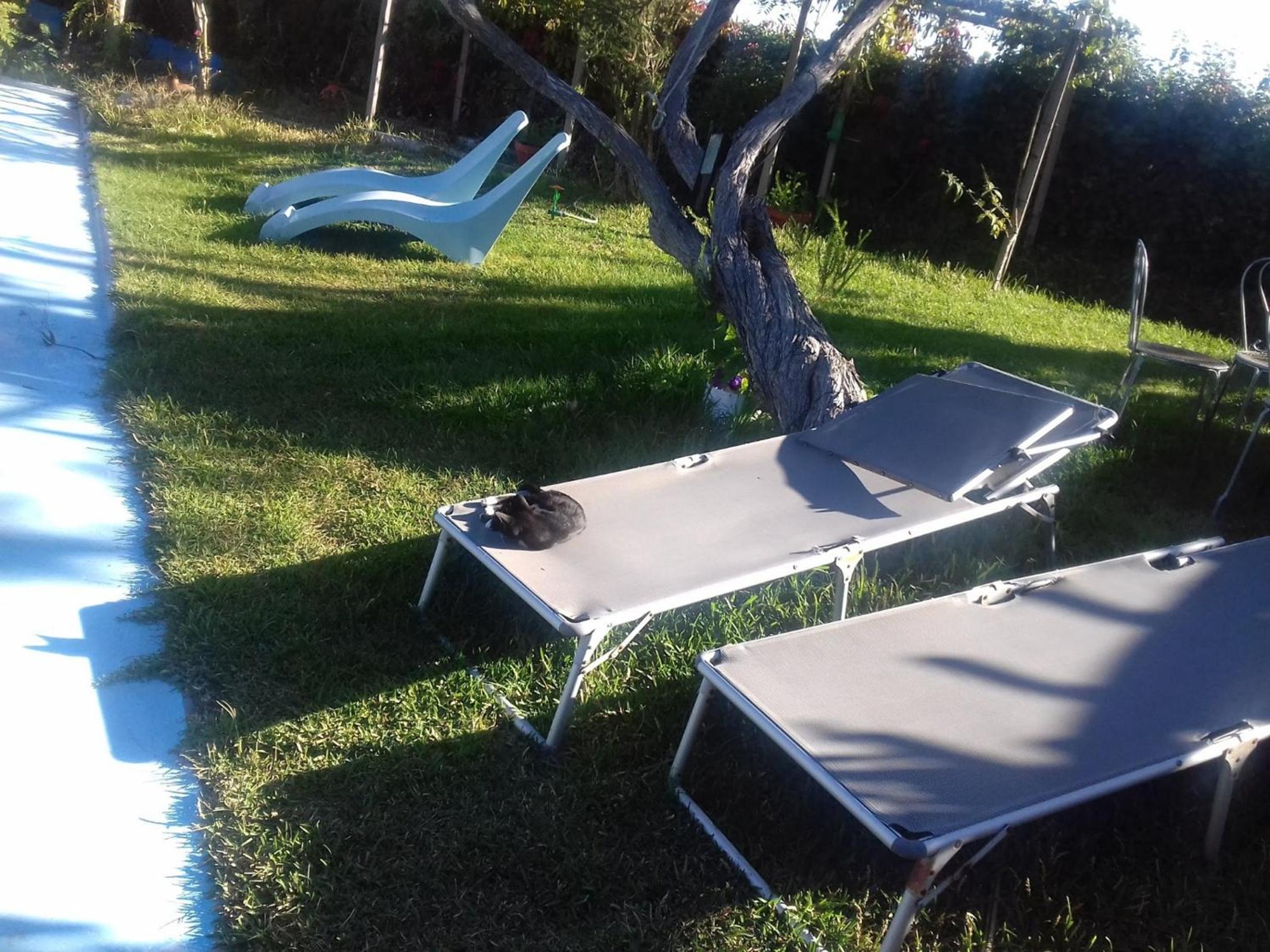Comfortable studio in Nazare with shared pool 30 m²