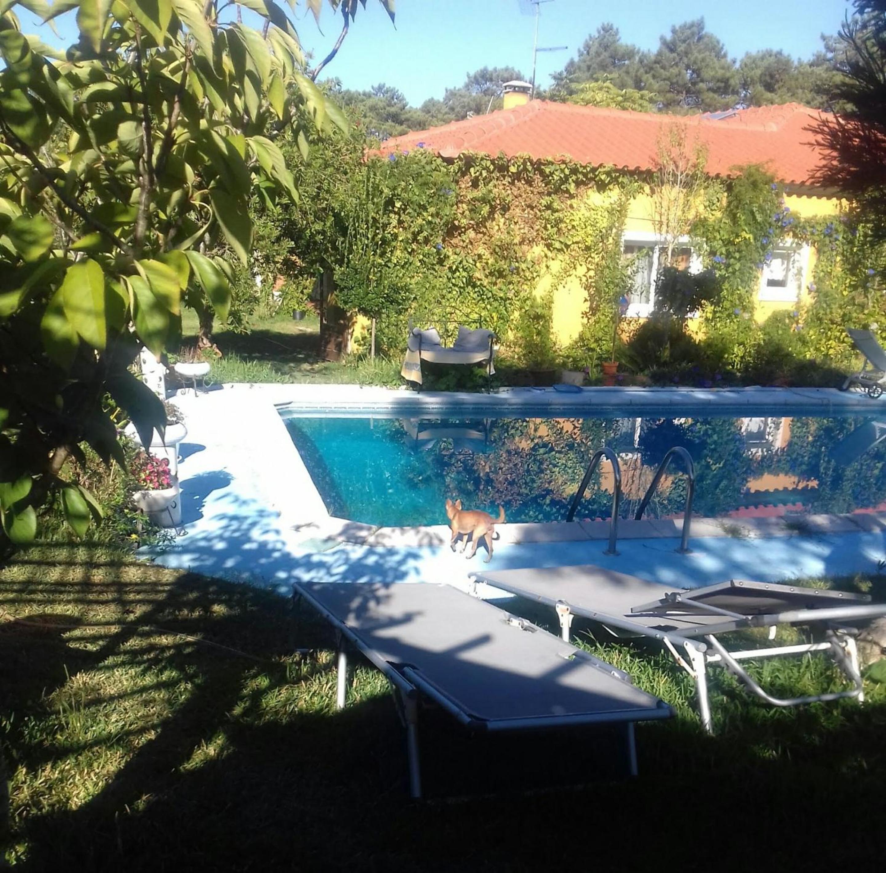 Comfortable studio in Nazare with shared pool 30 m²