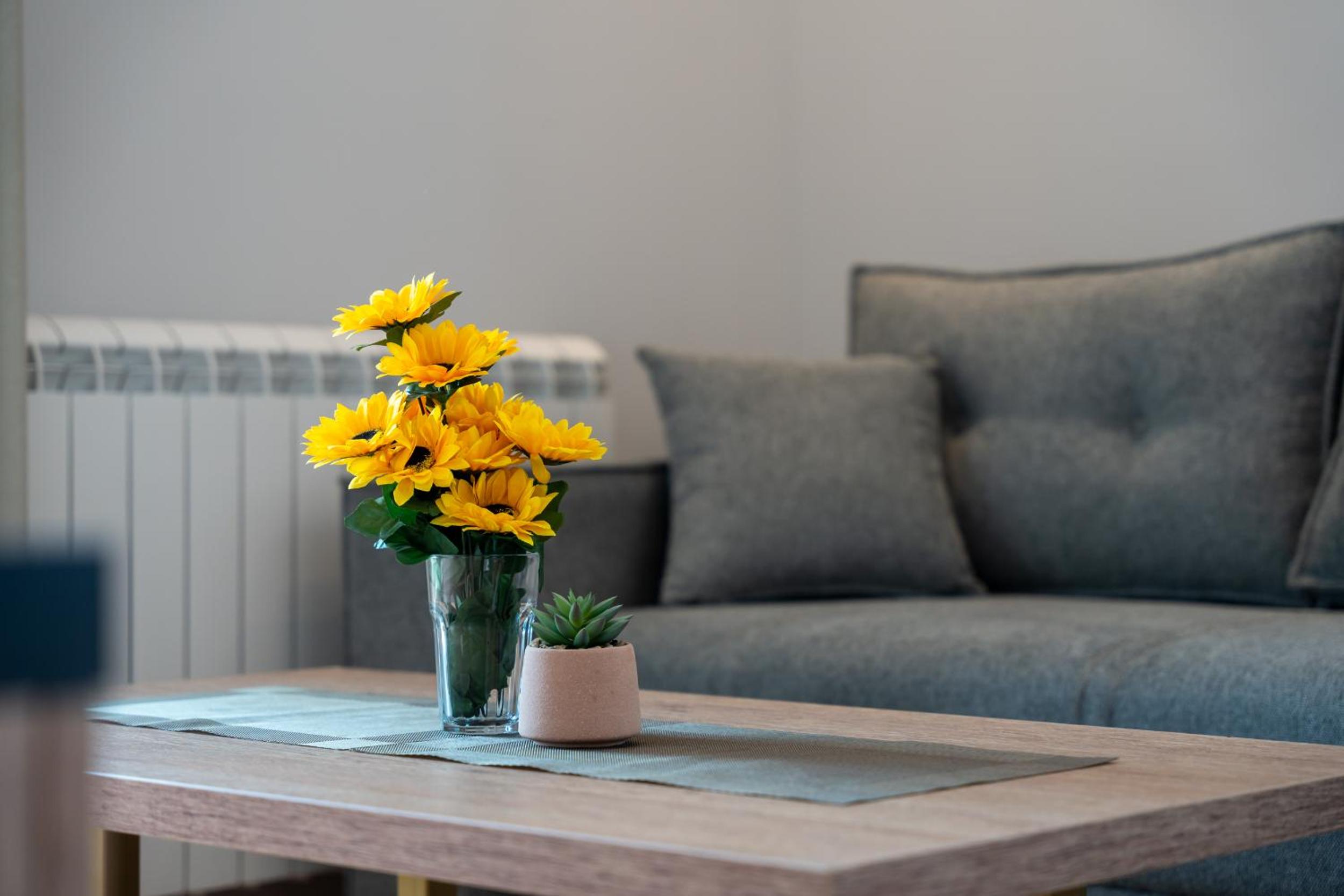 Apartmani ANJA