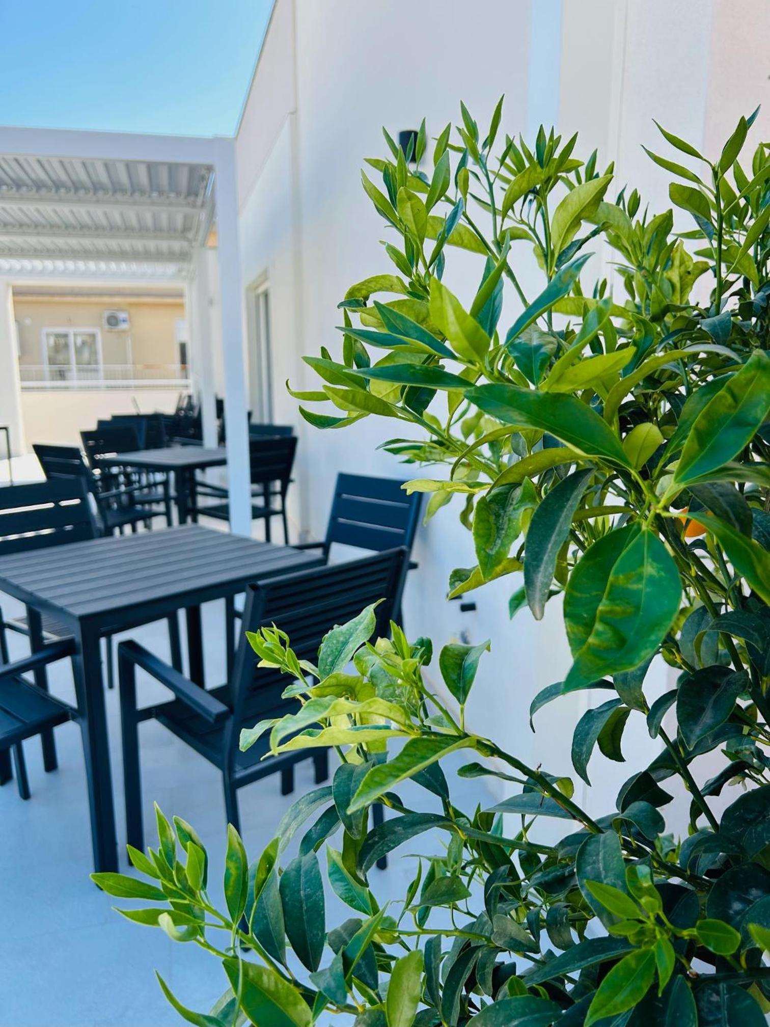 Aqua Marine B&B - Rooms and Apartments view 4