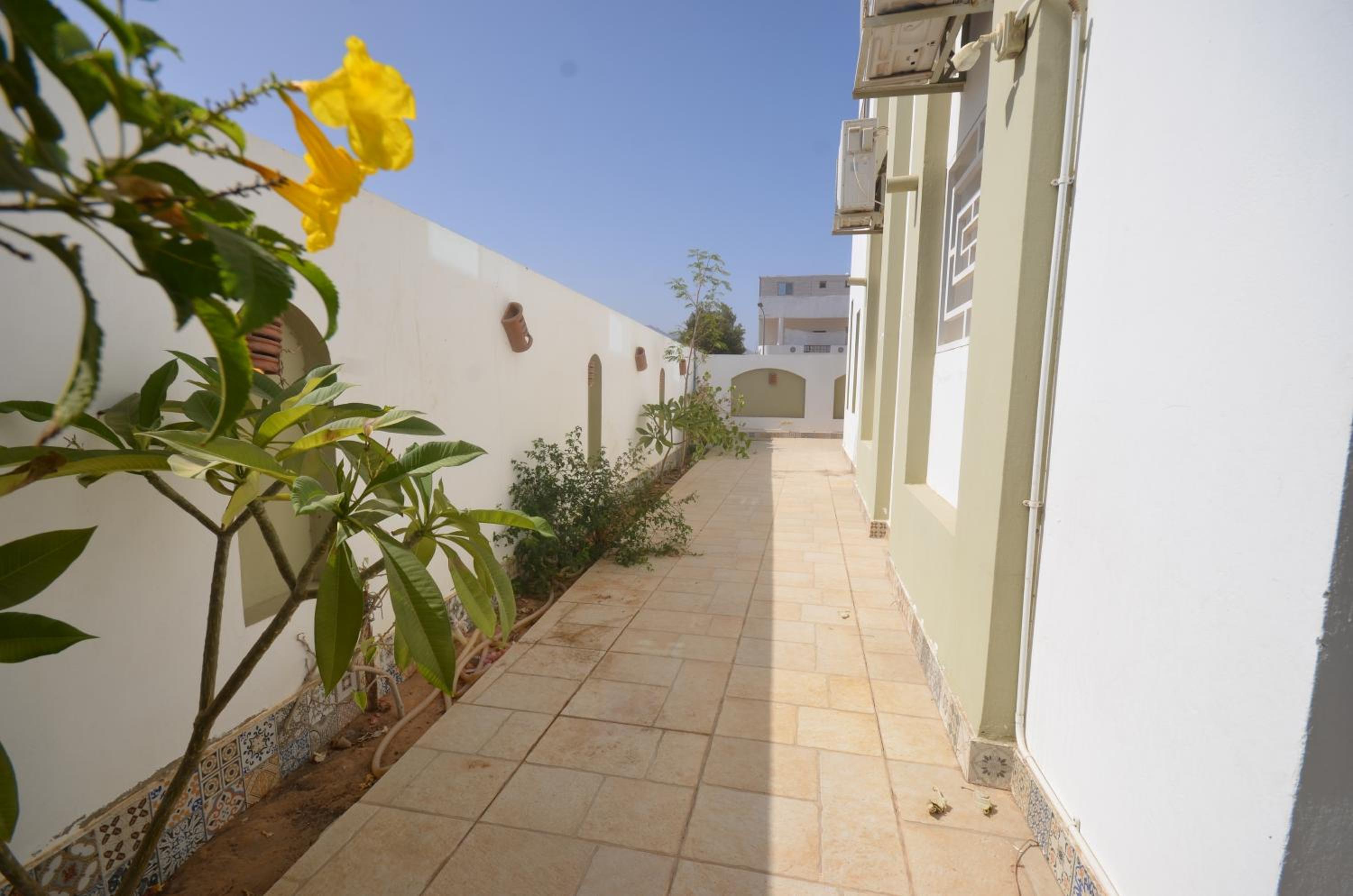Elite Hostel Dahab