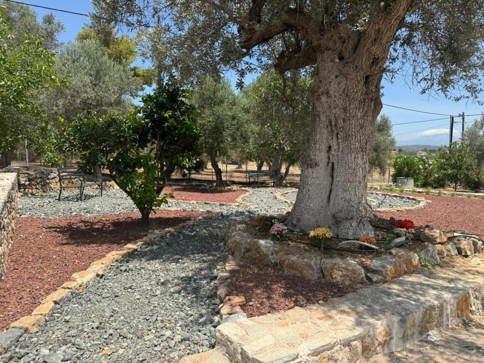 Villa Josefine - With private pool and parking