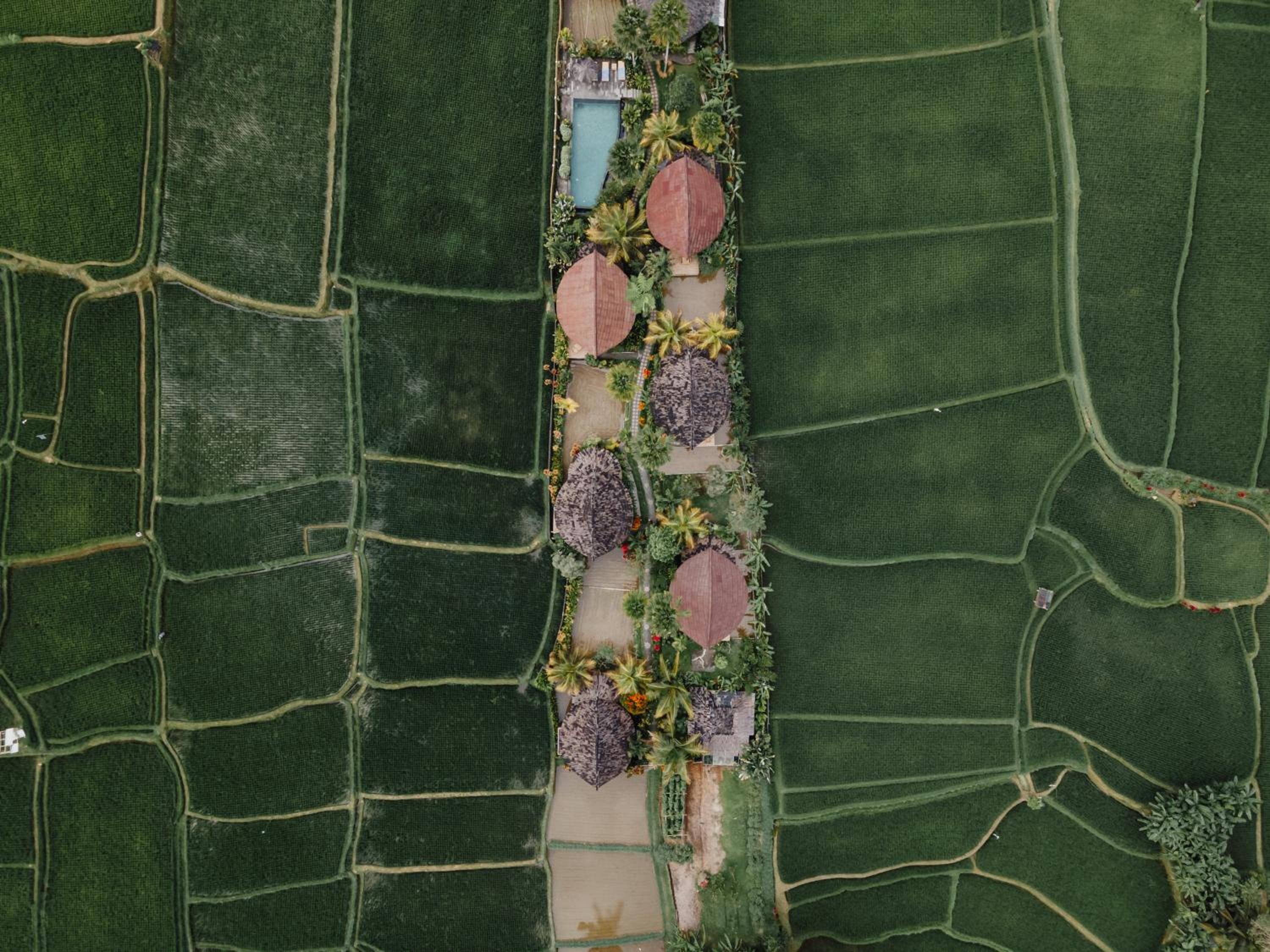 Hotel Padi Bali Retreat - Image 1