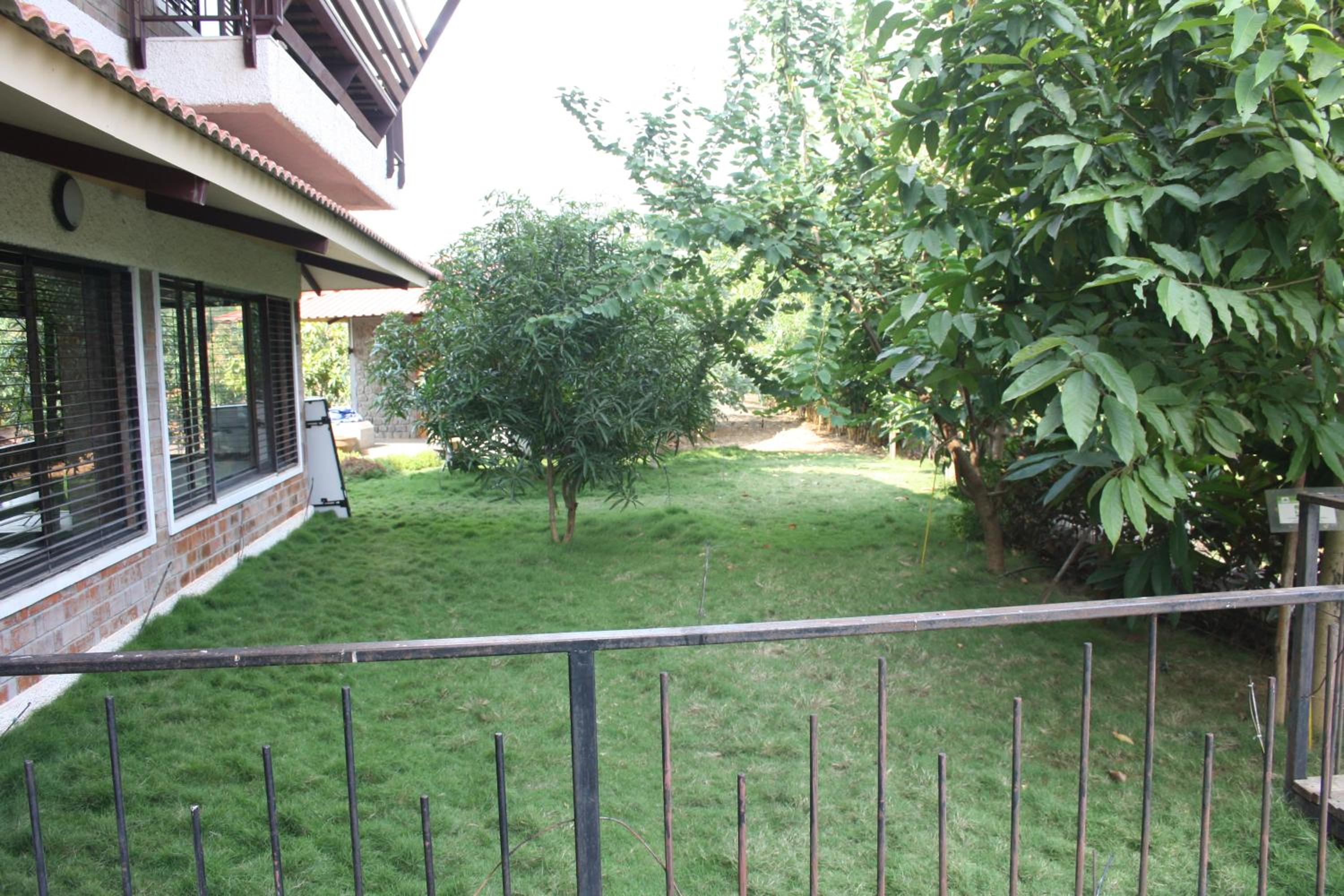 Photo 21