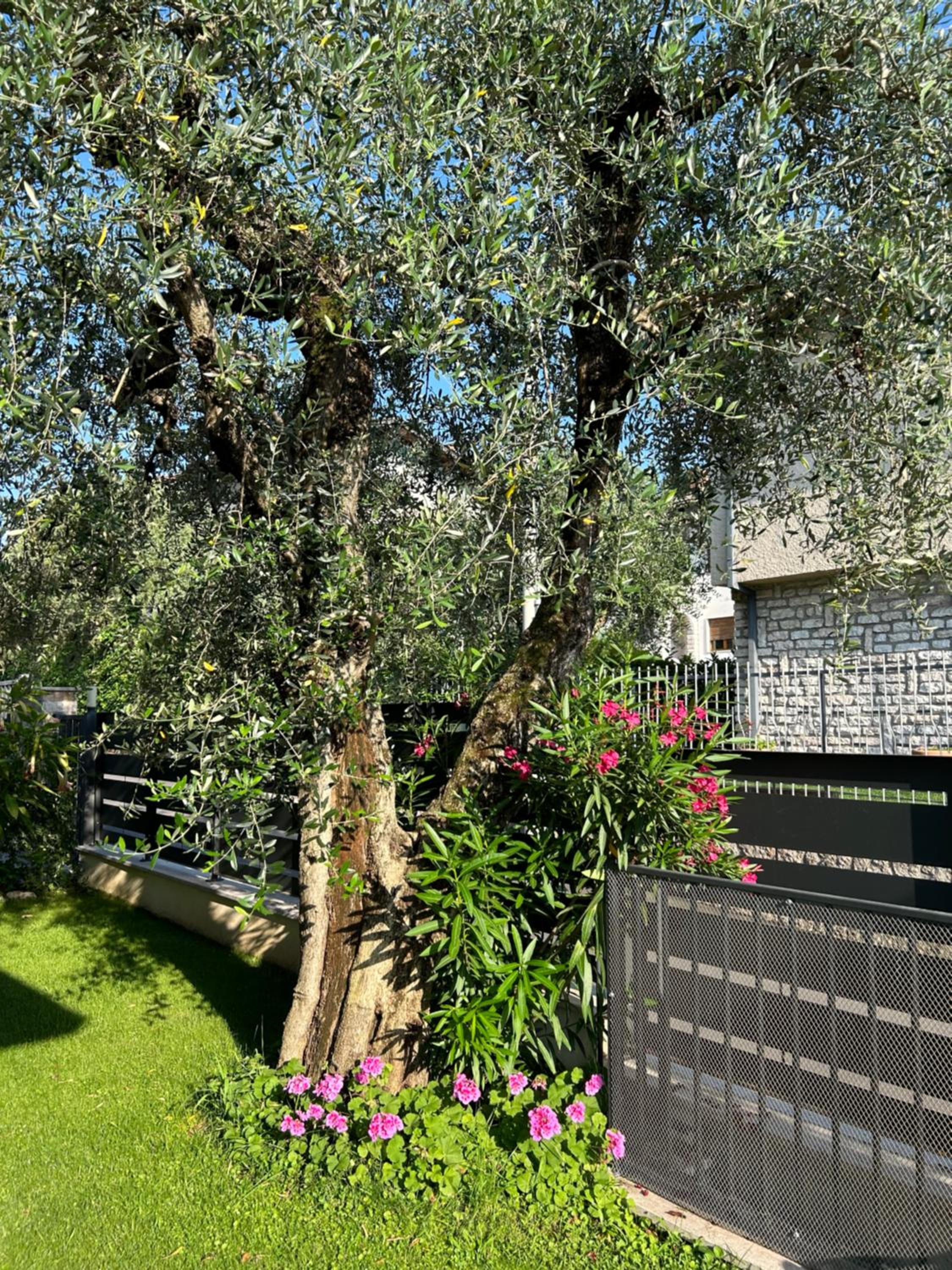 Photo 15