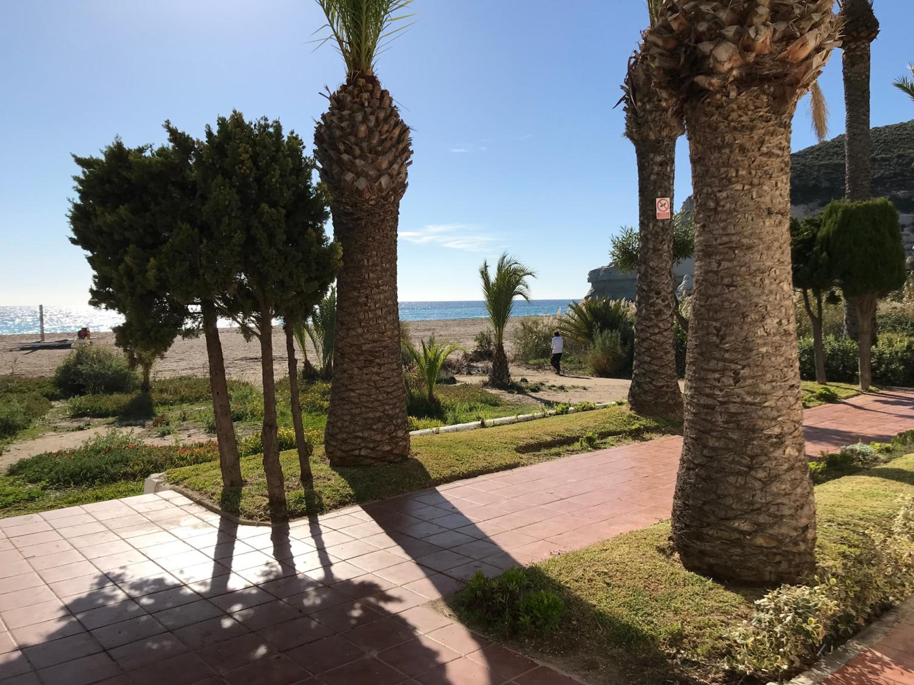 El Jardín del Camaleón