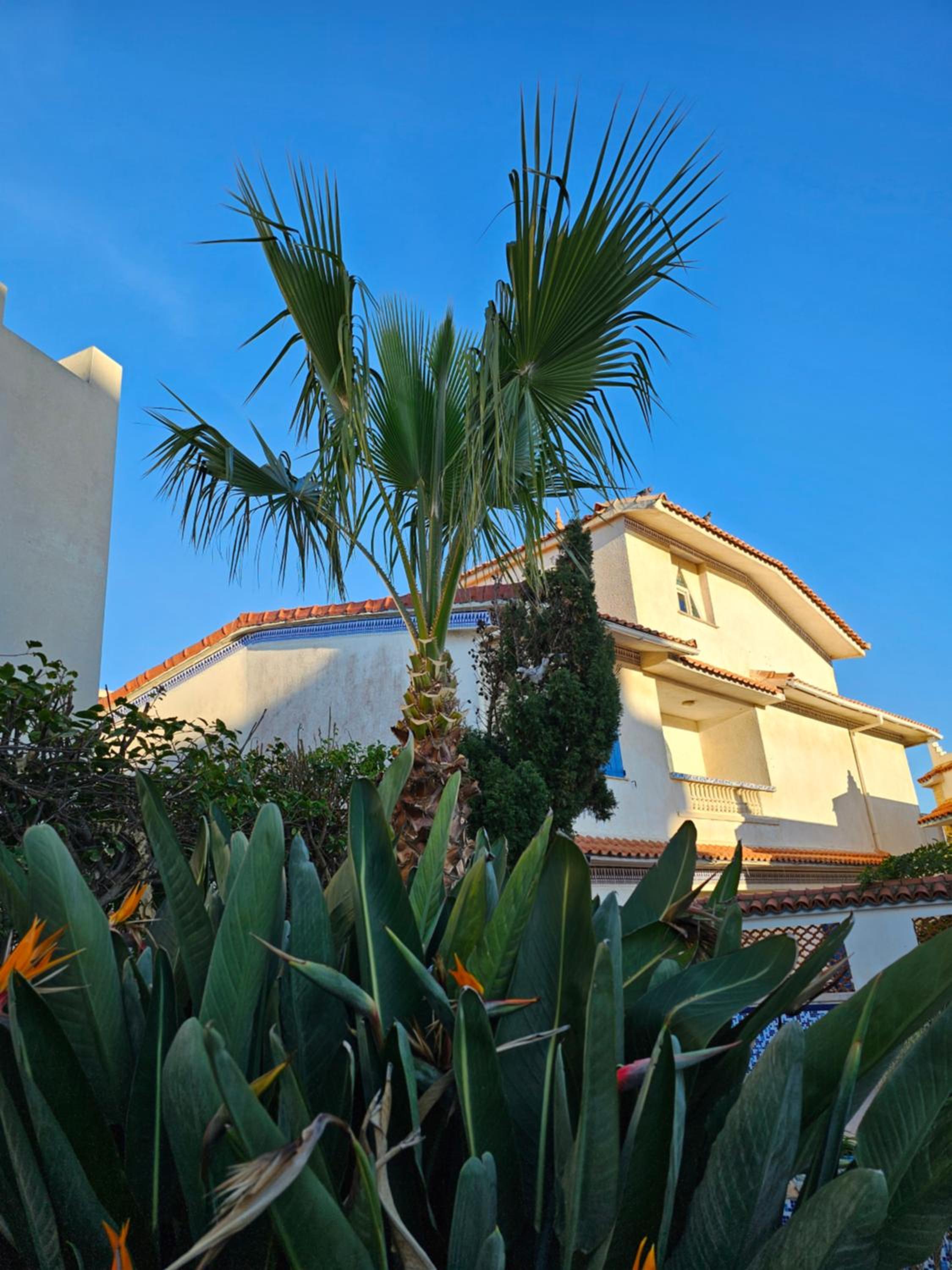 Villa Rahma