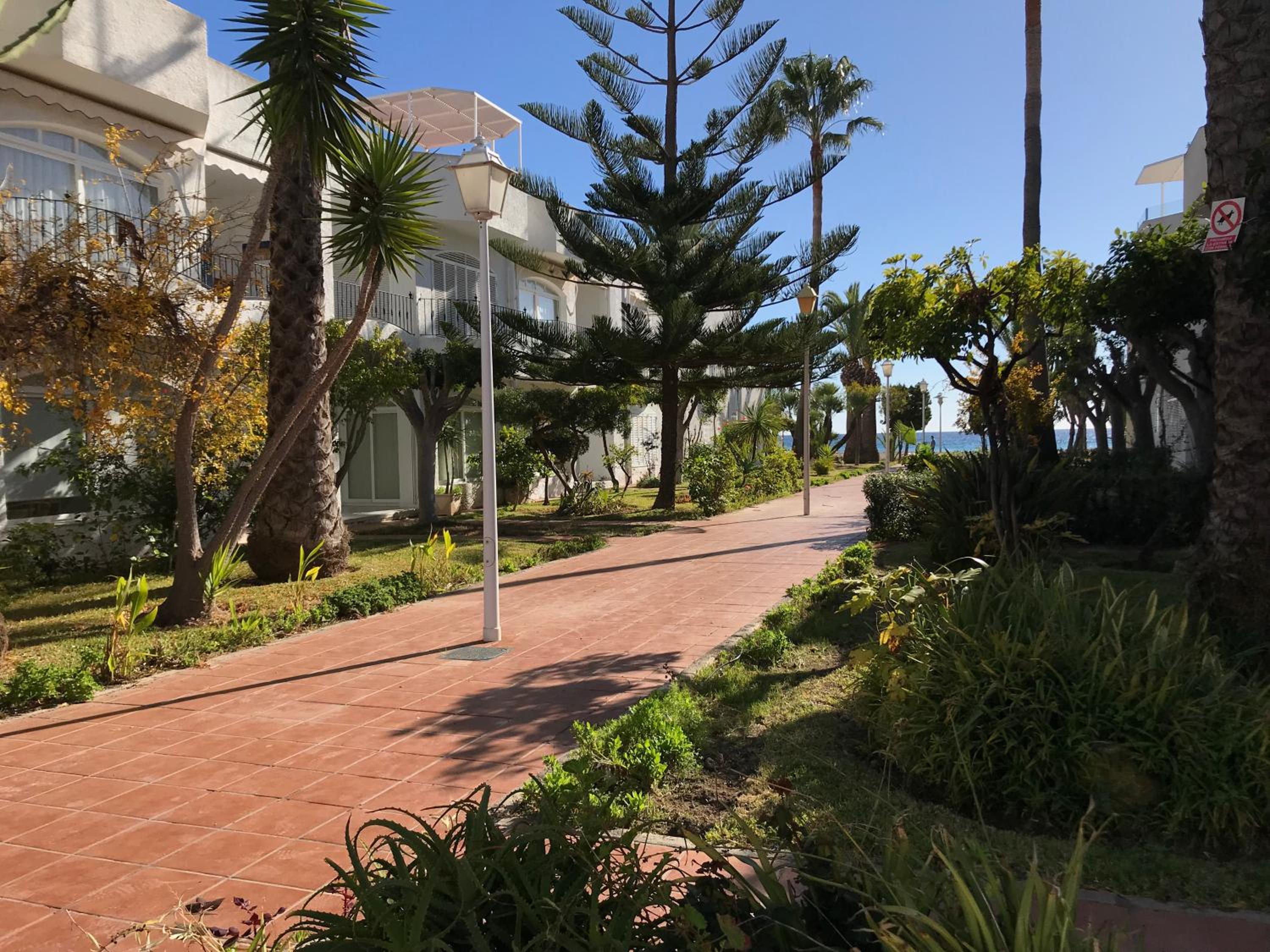 El Jardín del Camaleón