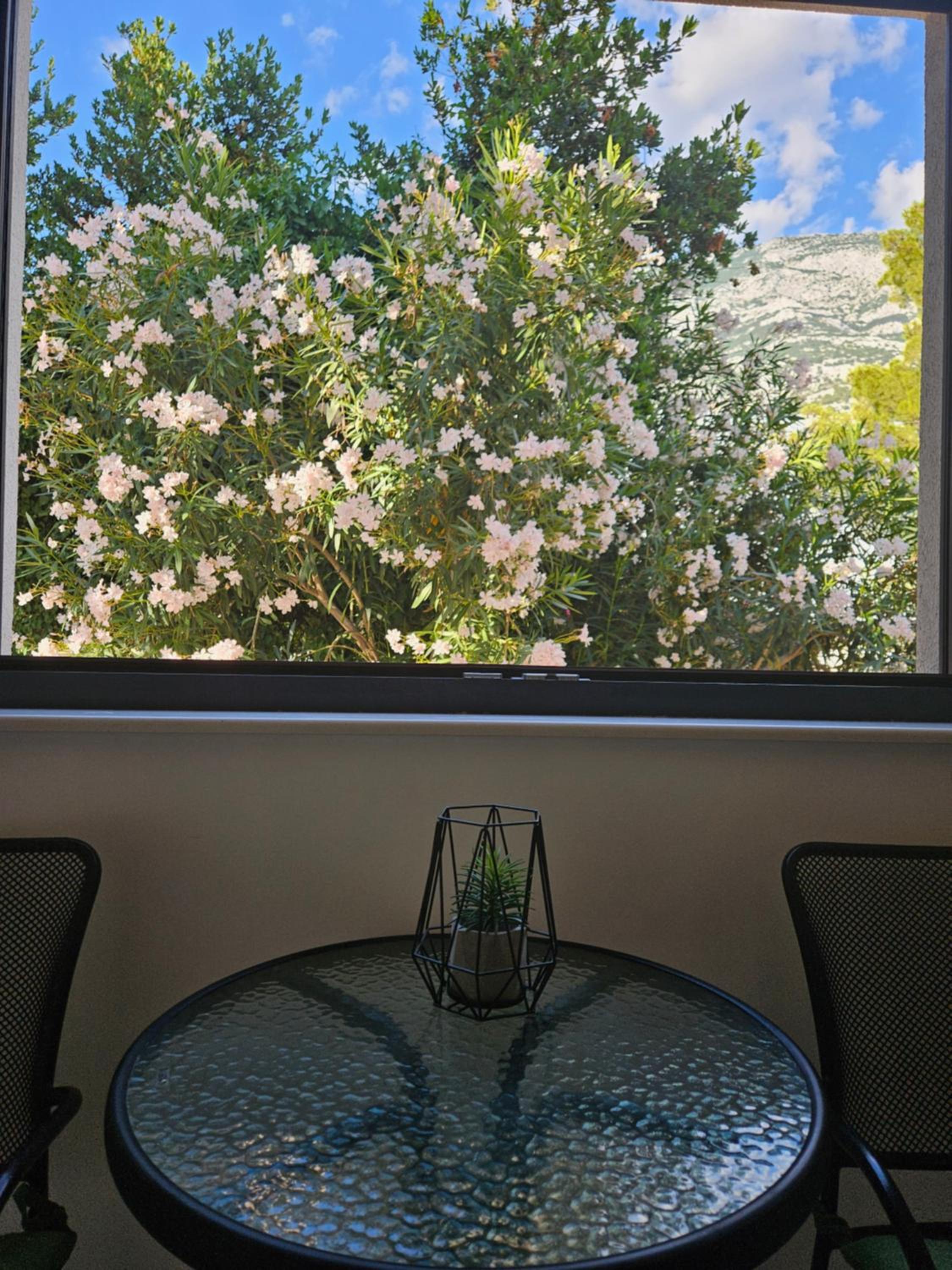 Laurus Makarska Accommodation