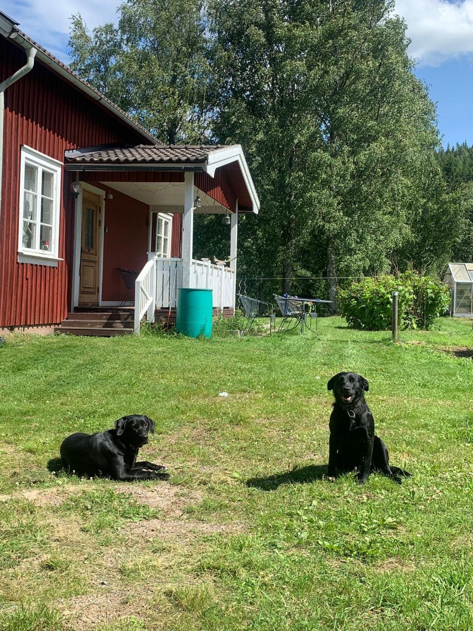 Svartån Gård view 4