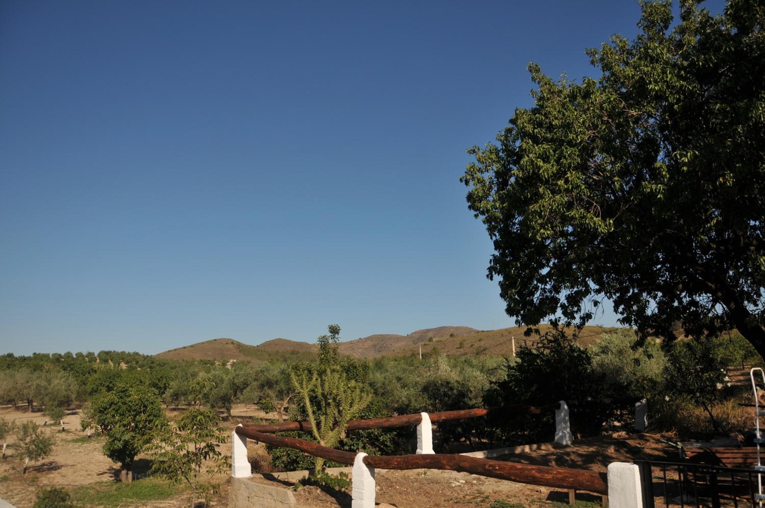 Luby Cortijo el Tío Emilio
