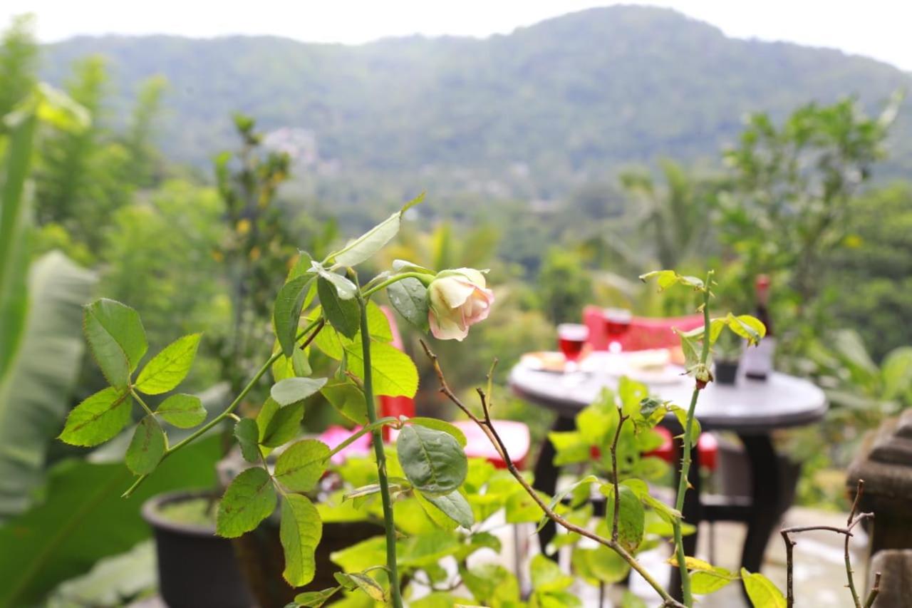 Peradeniya Green Mount Hotel