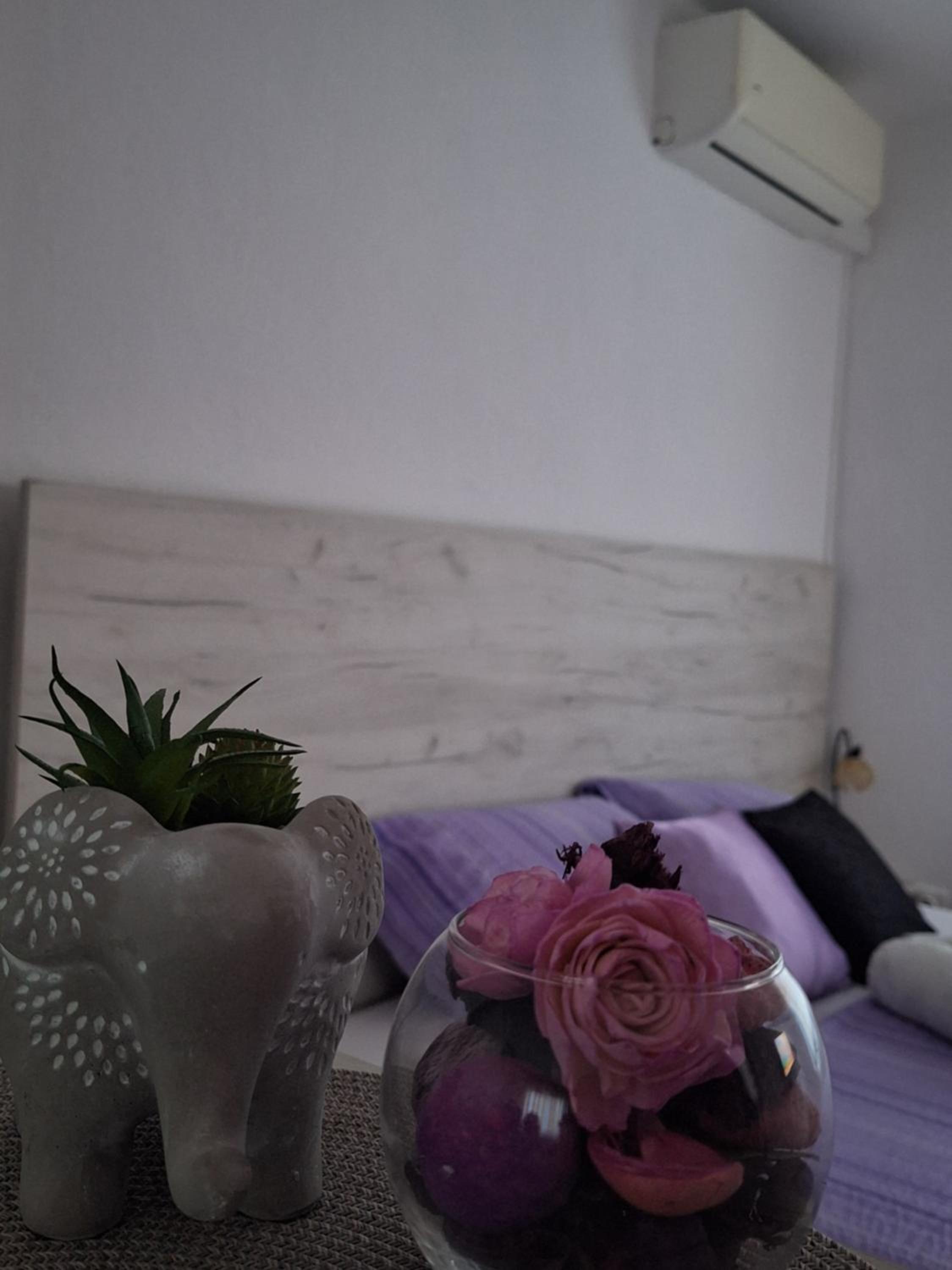 Apartment and Rooms Zed
