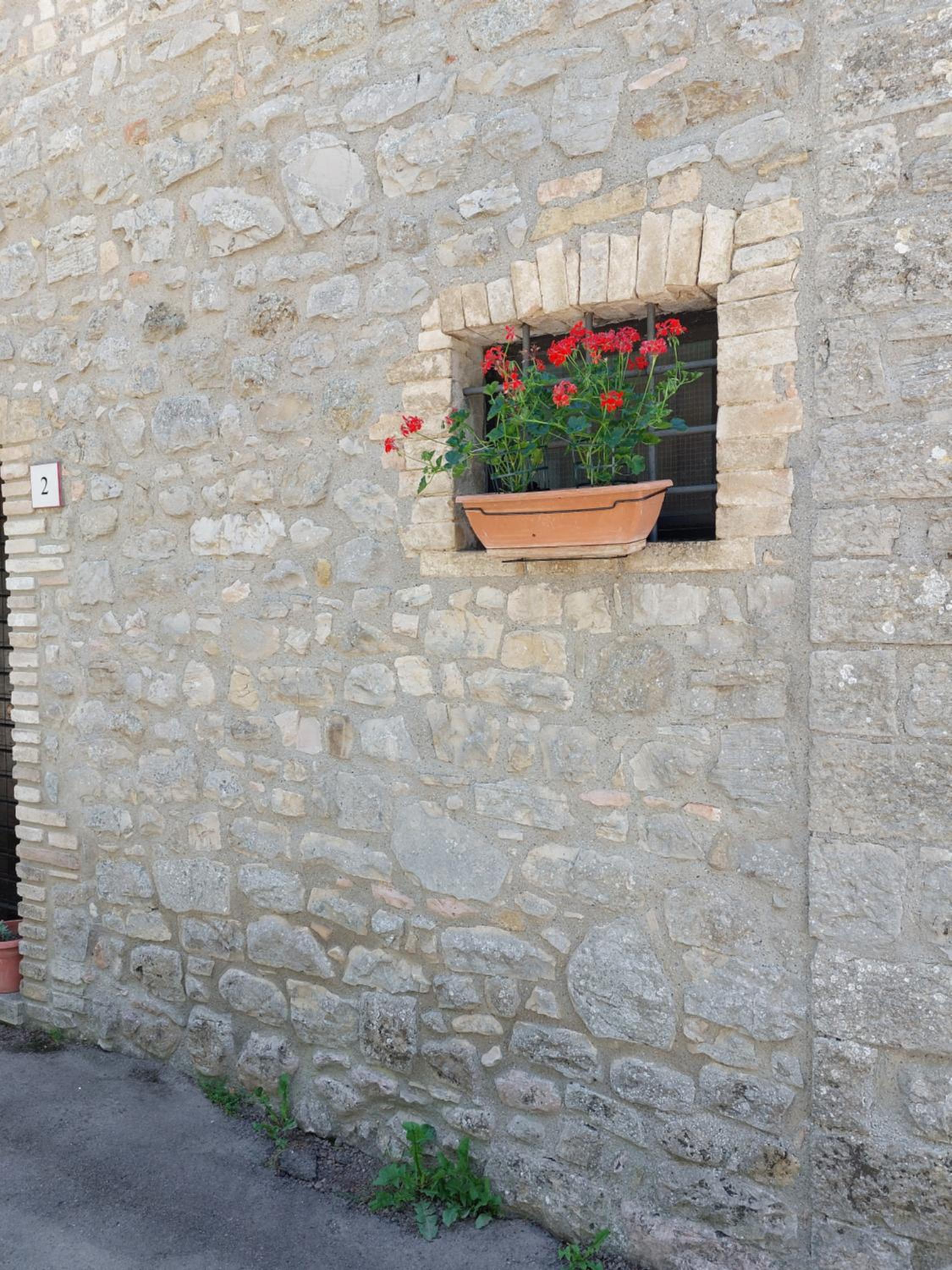 Suite Morruzze