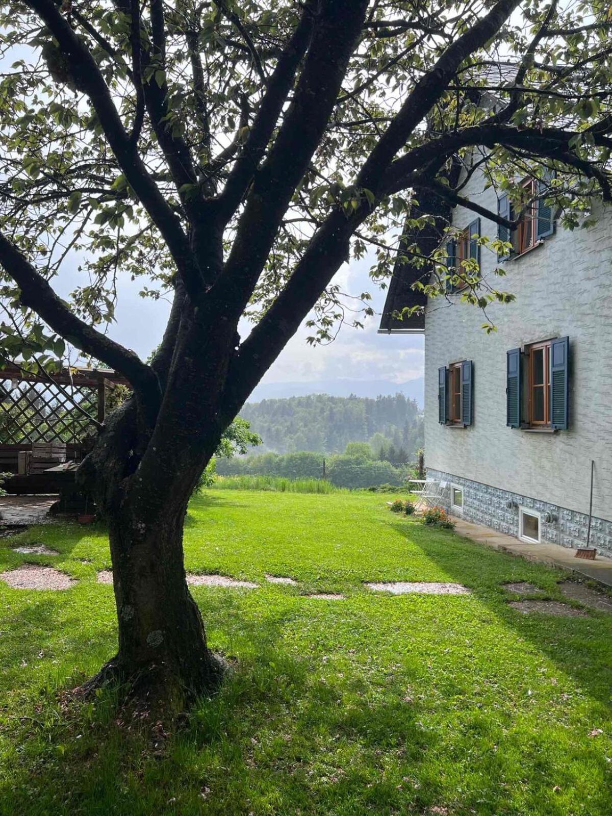 Ferienhaus Hefentrager Nähe Schilcherweinstraße