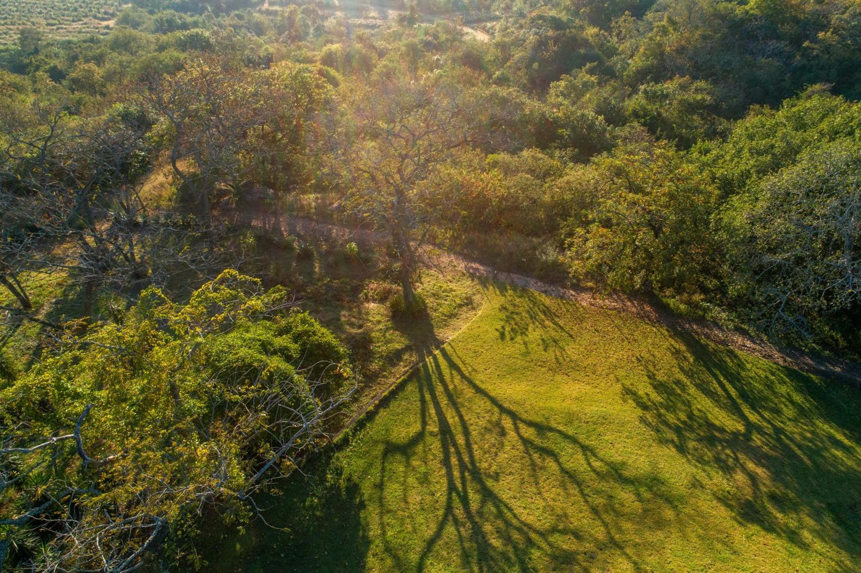 Hazyview Vacations - Chestnut Country Lodge - Property Image 19