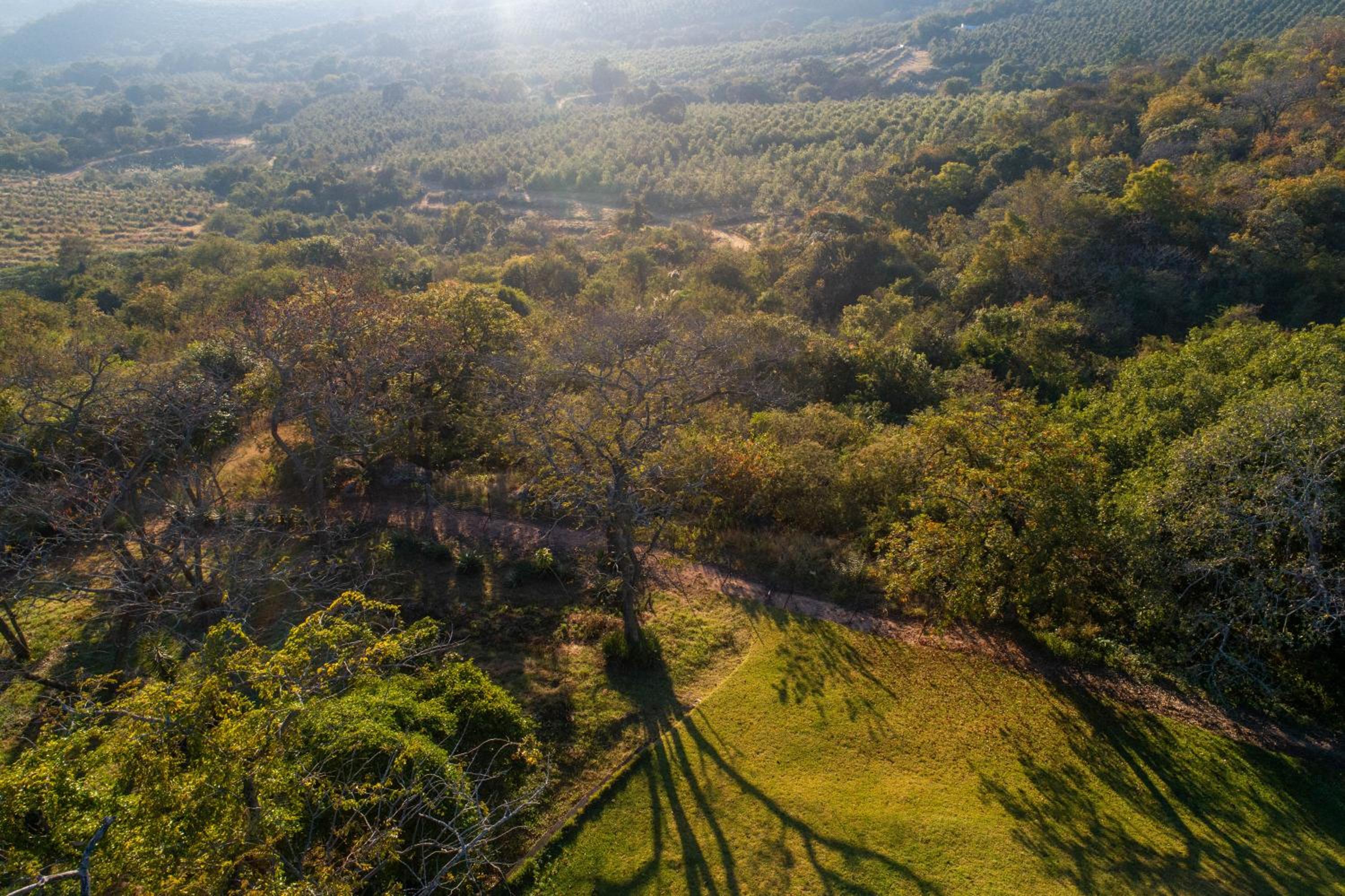 Hazyview Vacations - Chestnut Country Lodge - Property Image 52