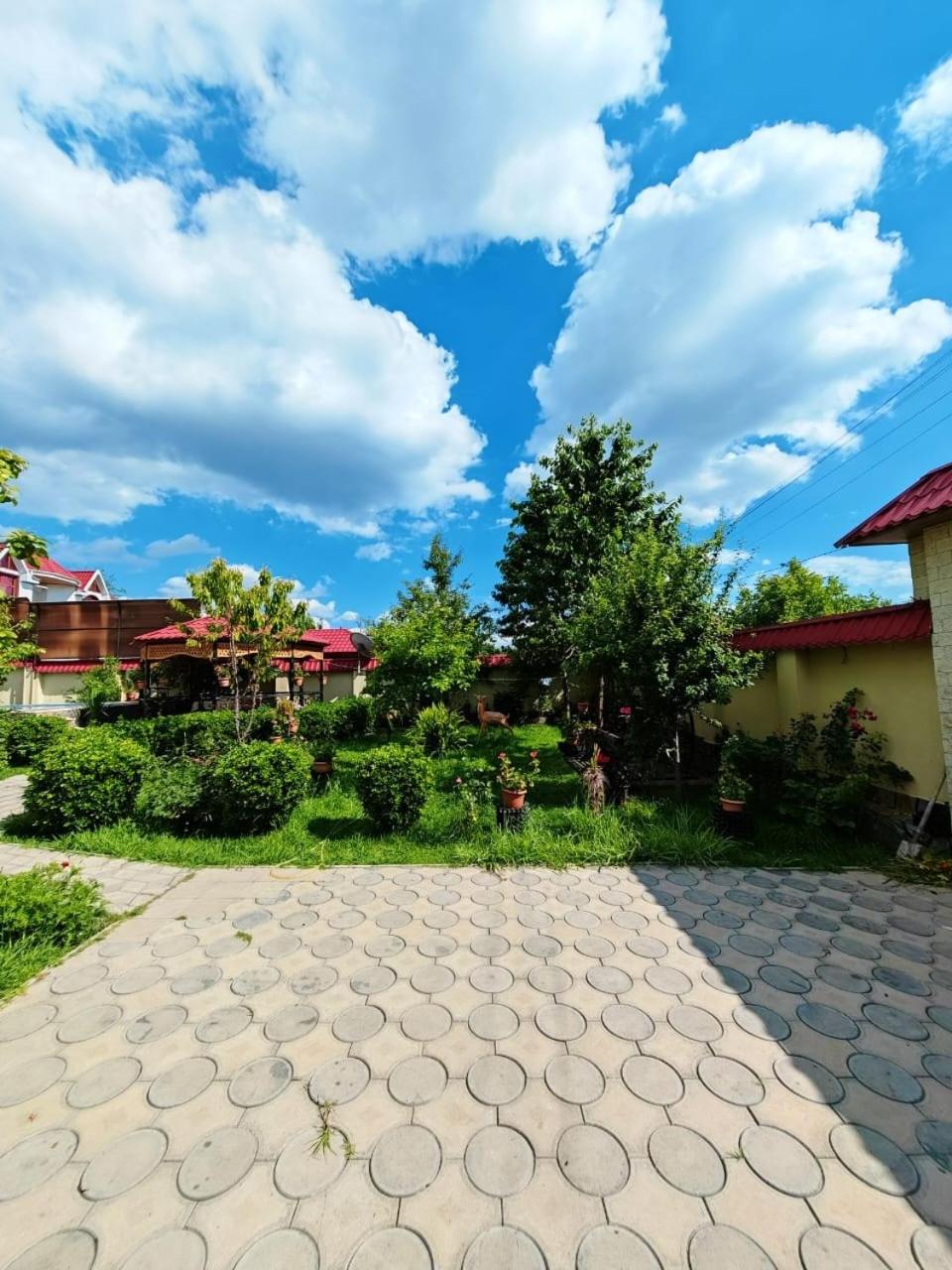 Heavenly place Gabala