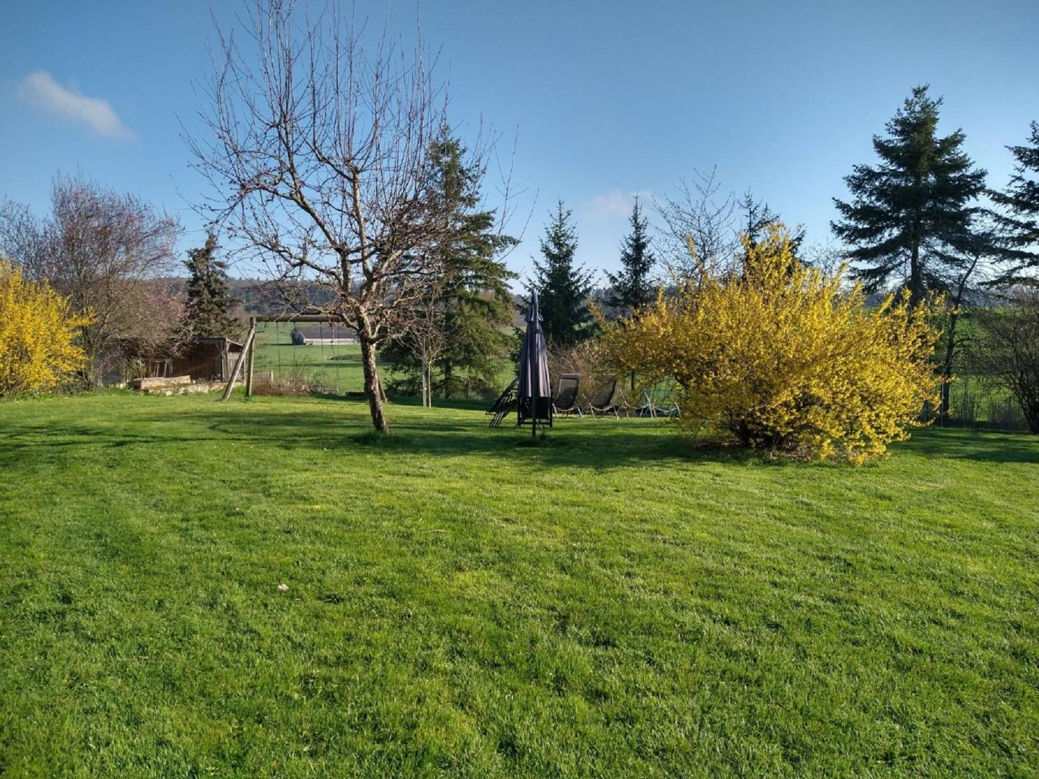 Photo 29