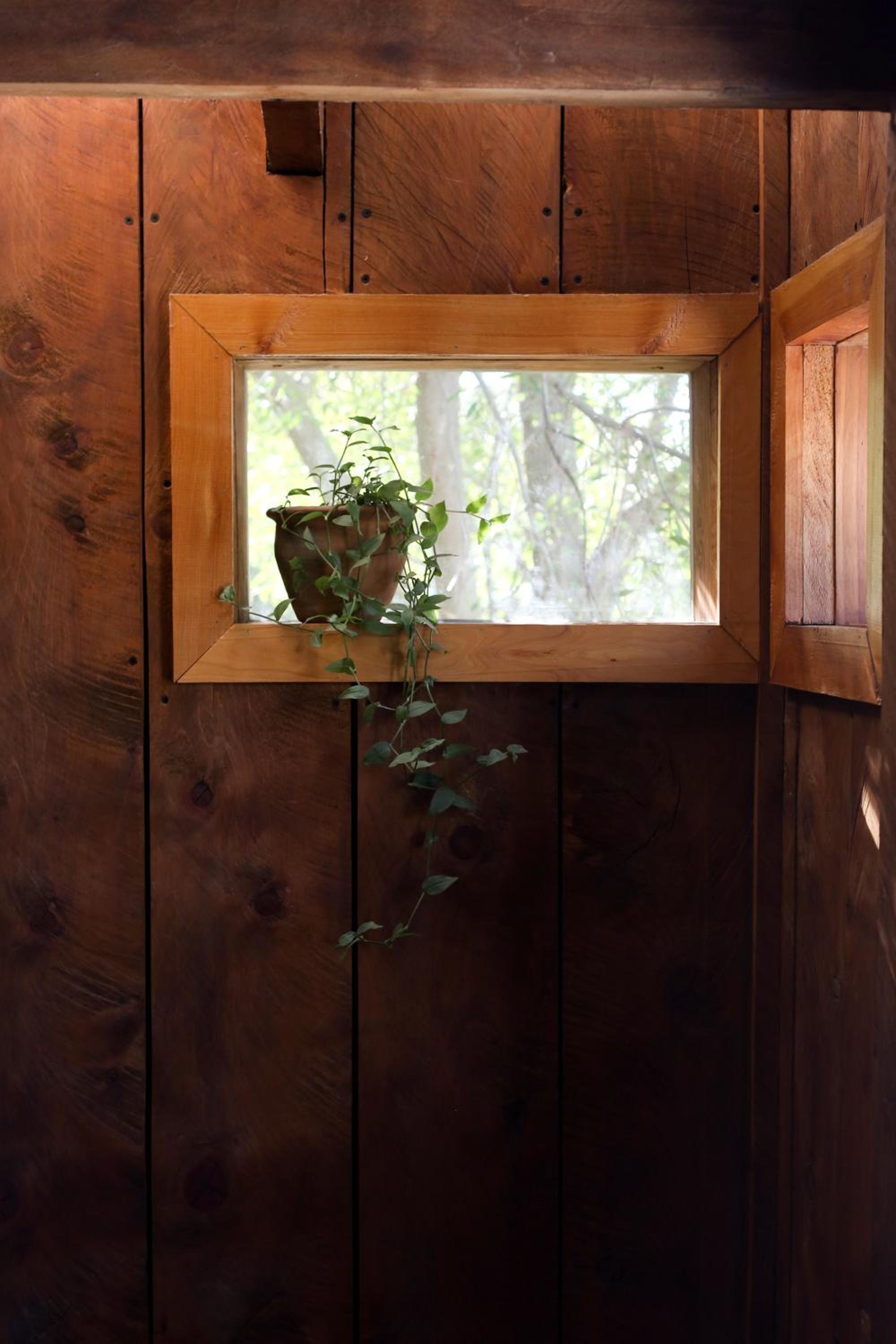Calida Mini Casa
