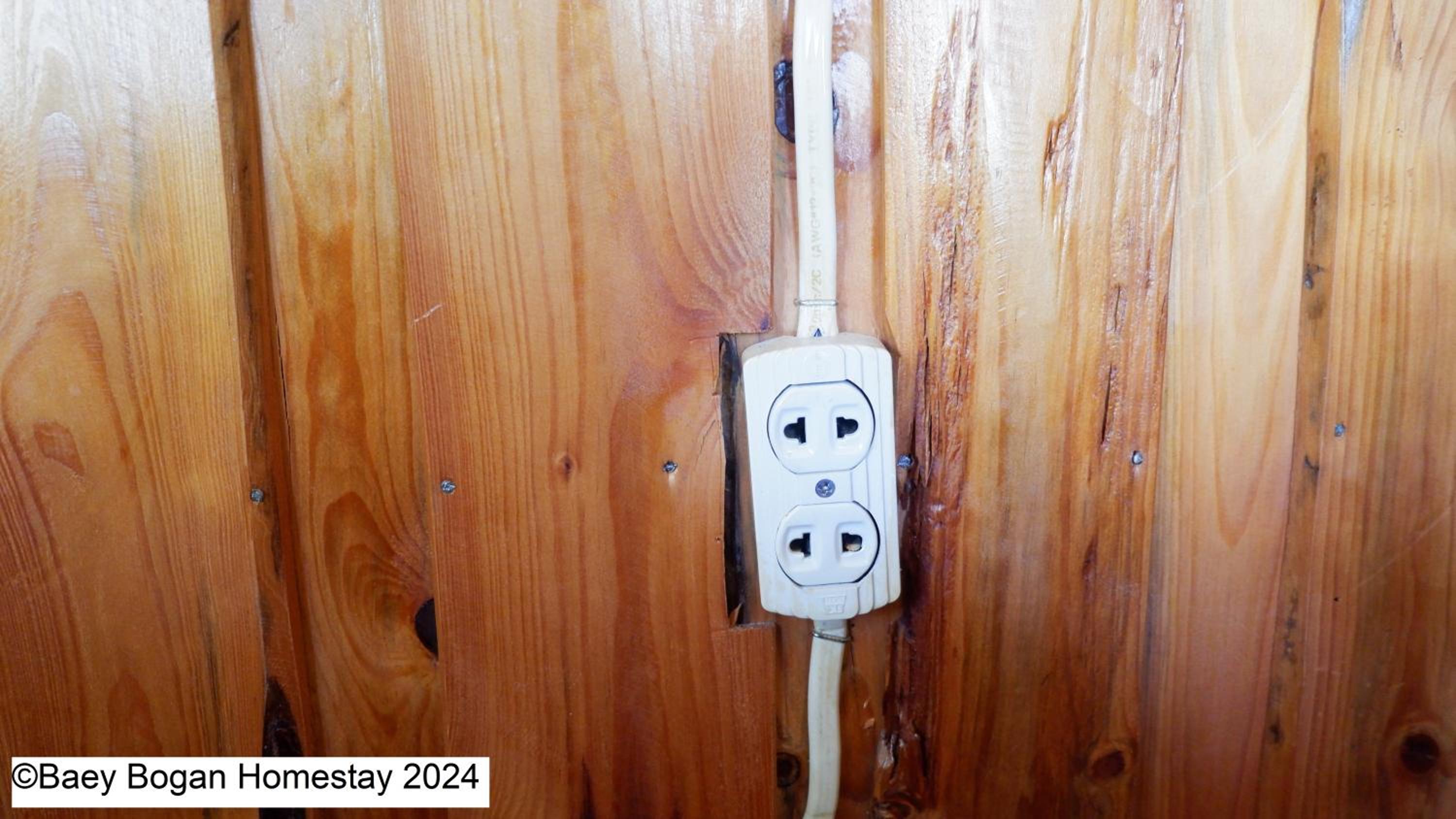 Photo 47