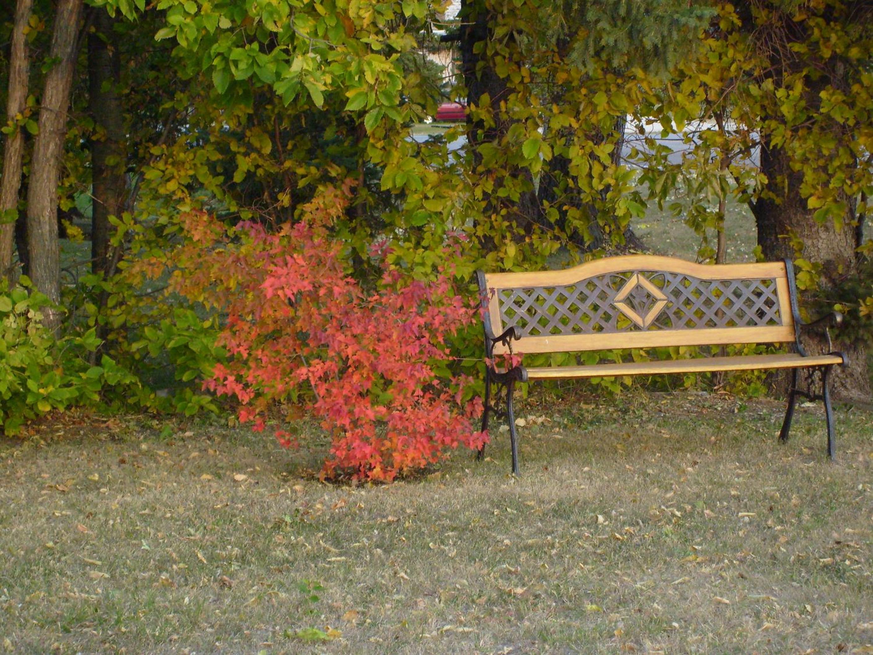 Maple Leaf Motel Emerson