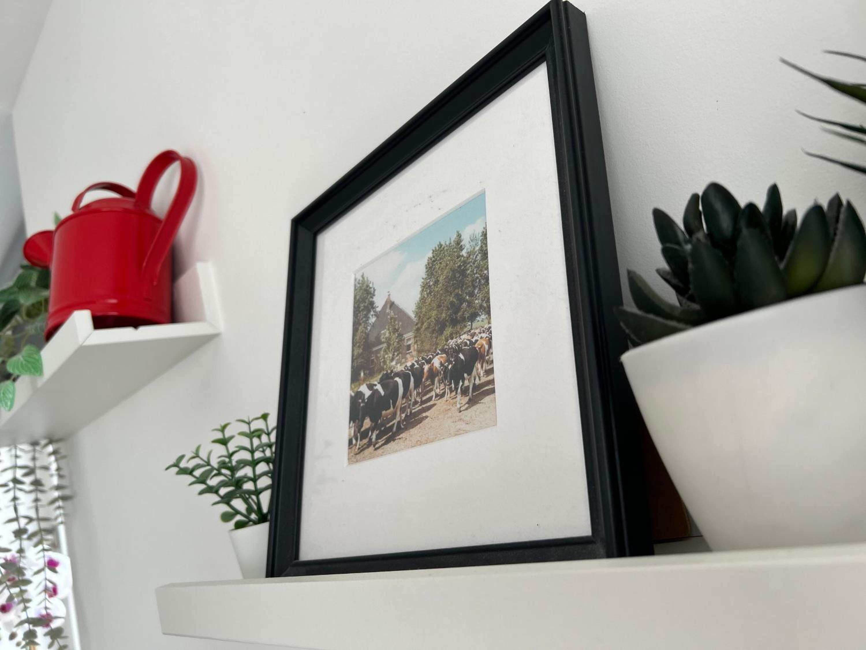 B&B Zunderdorp