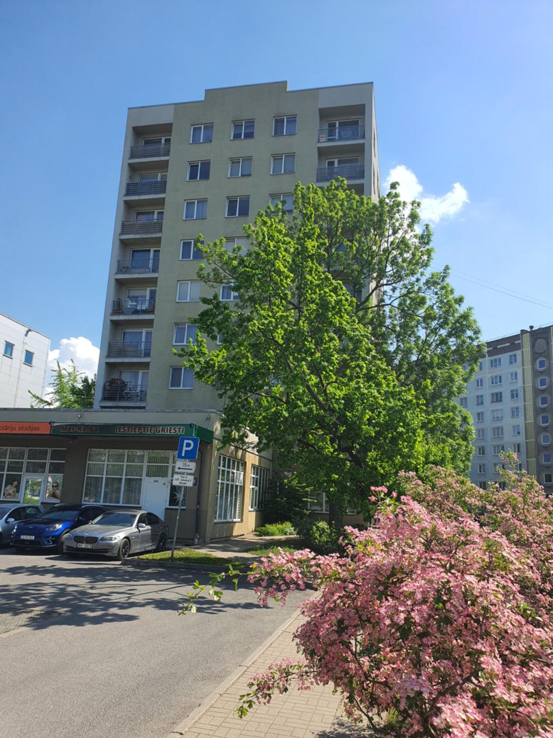 Photo 8