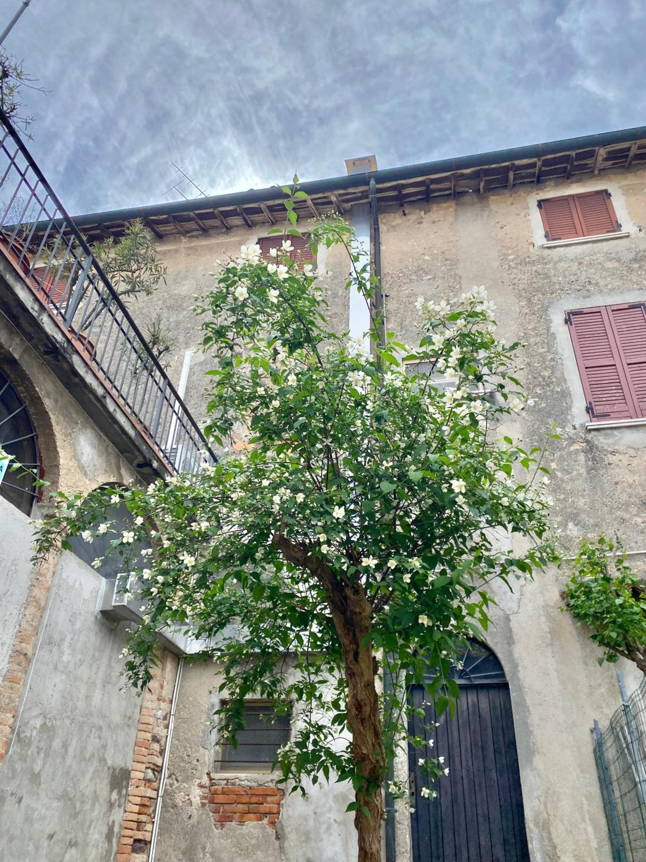 Nel Cuore di Volta Mantovana view 2