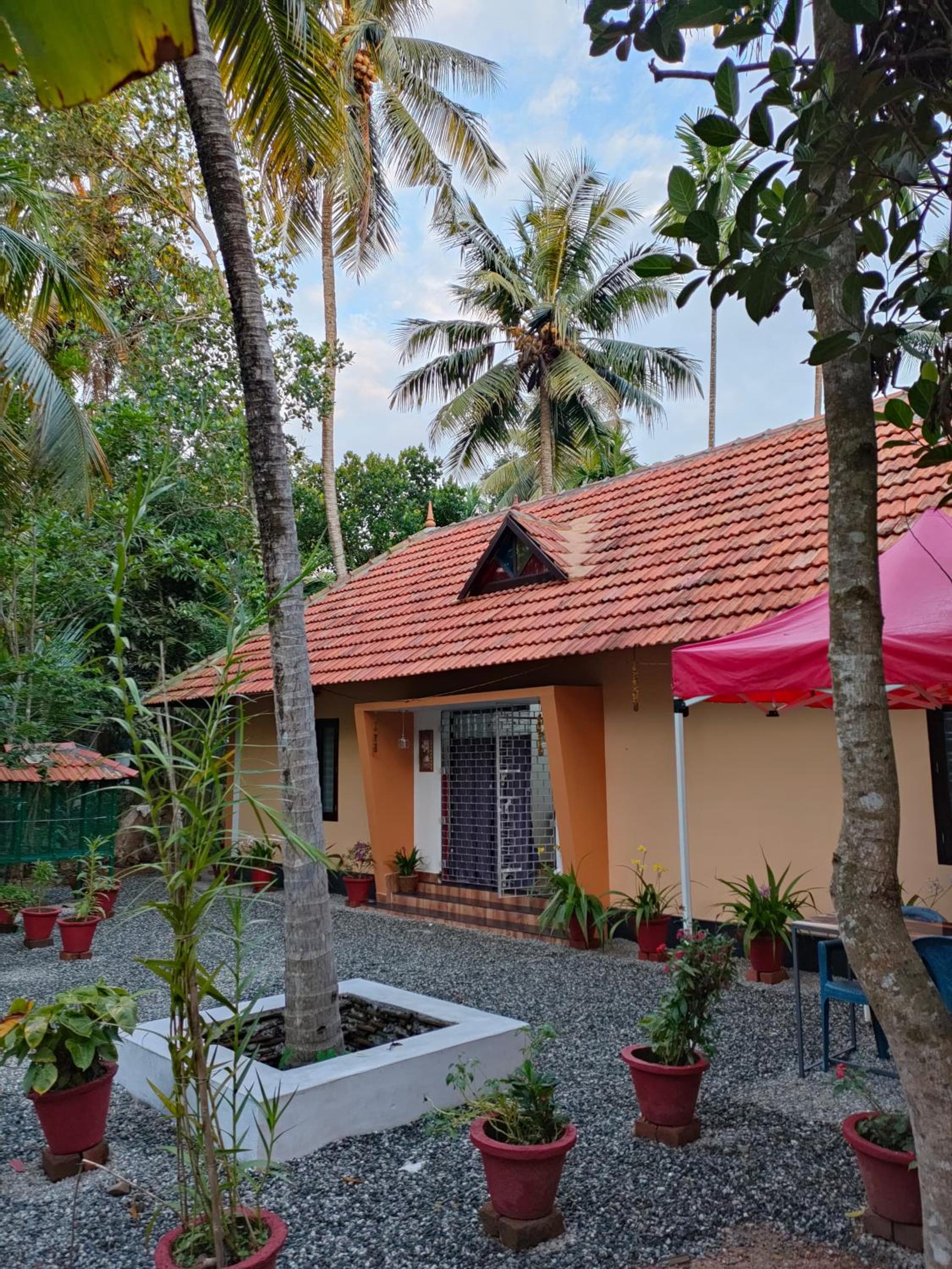 Mystic Mangrove Homestay view 3