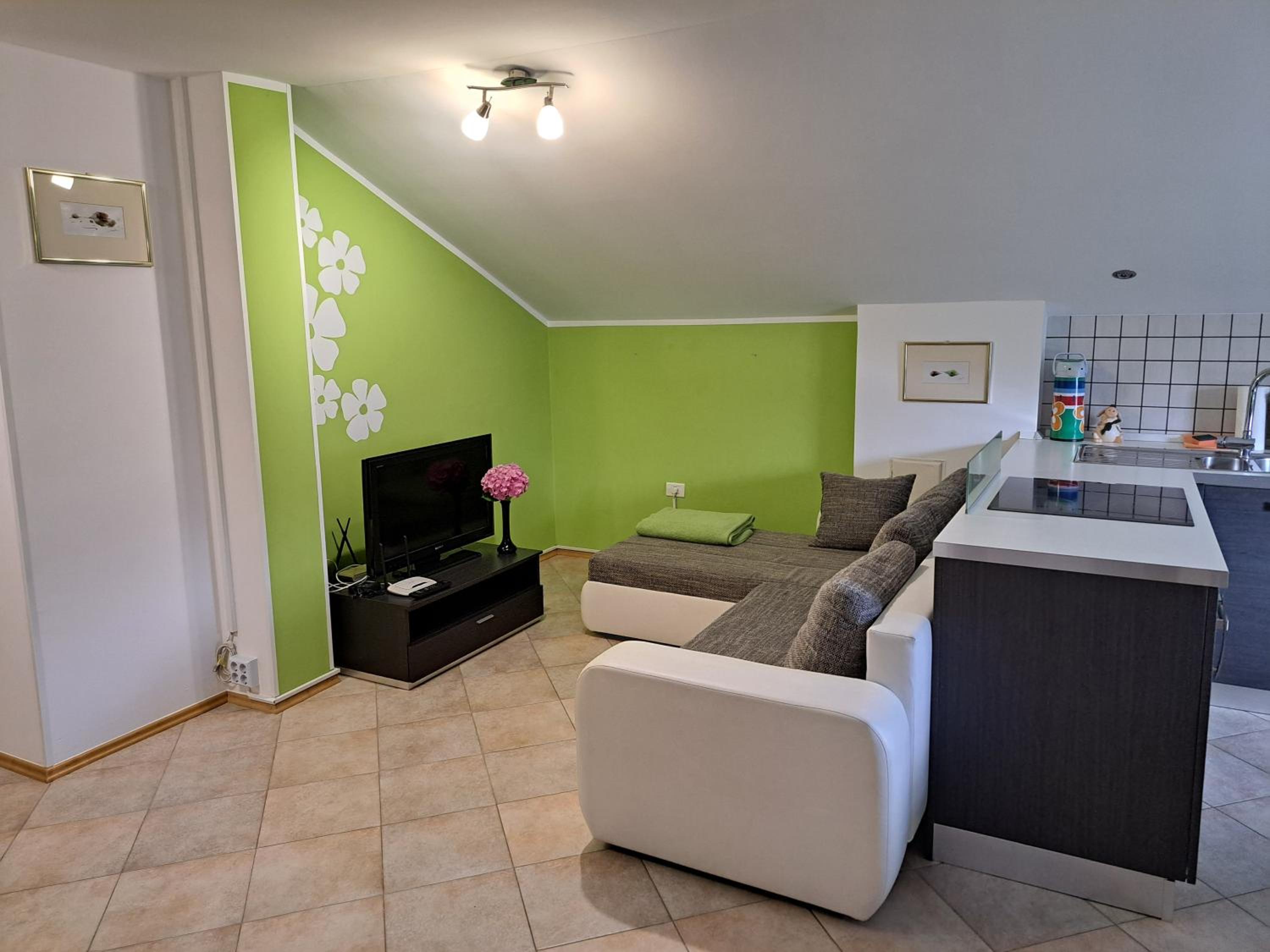 Apartma Aneja view 5