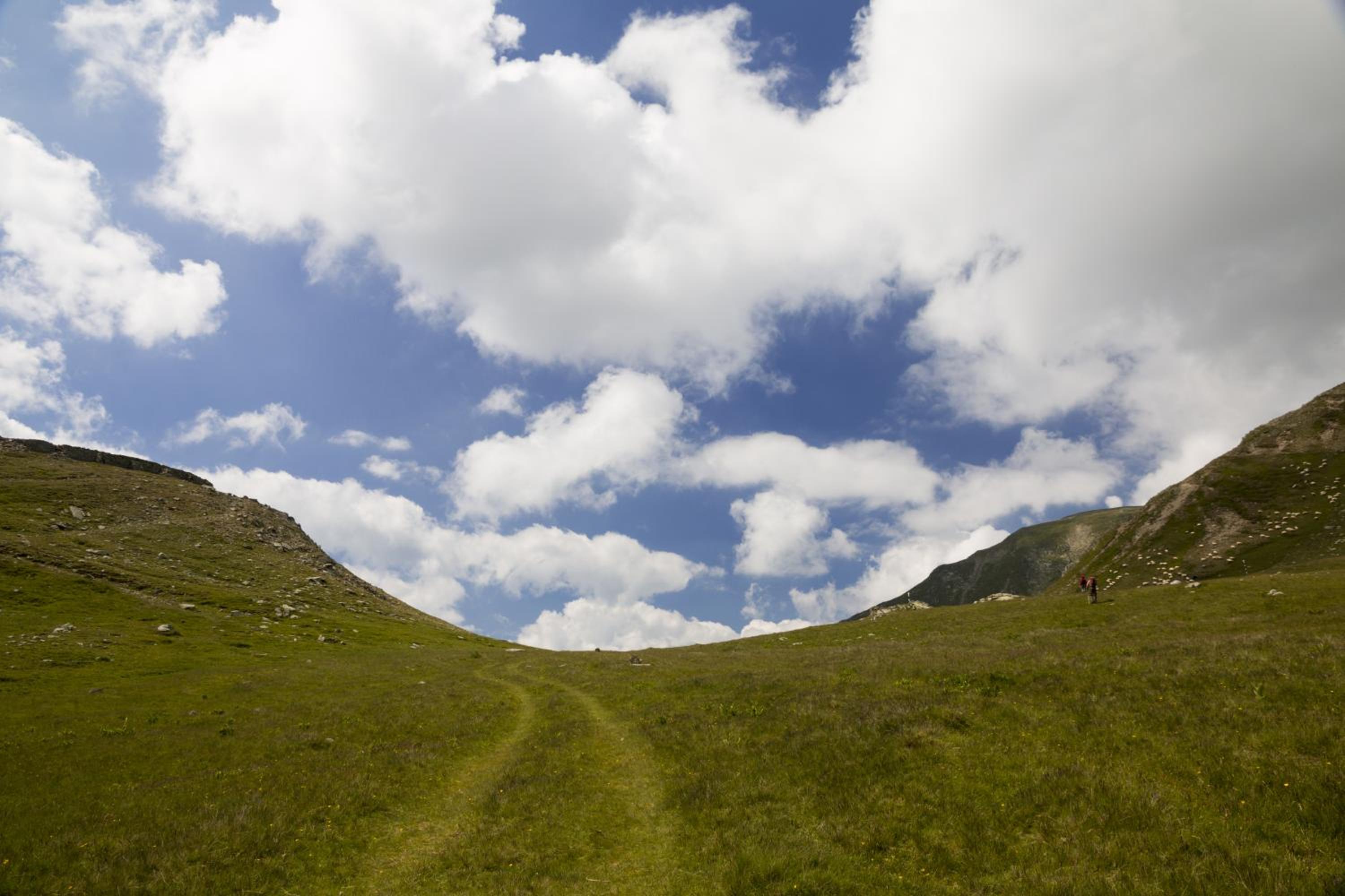Photo 25