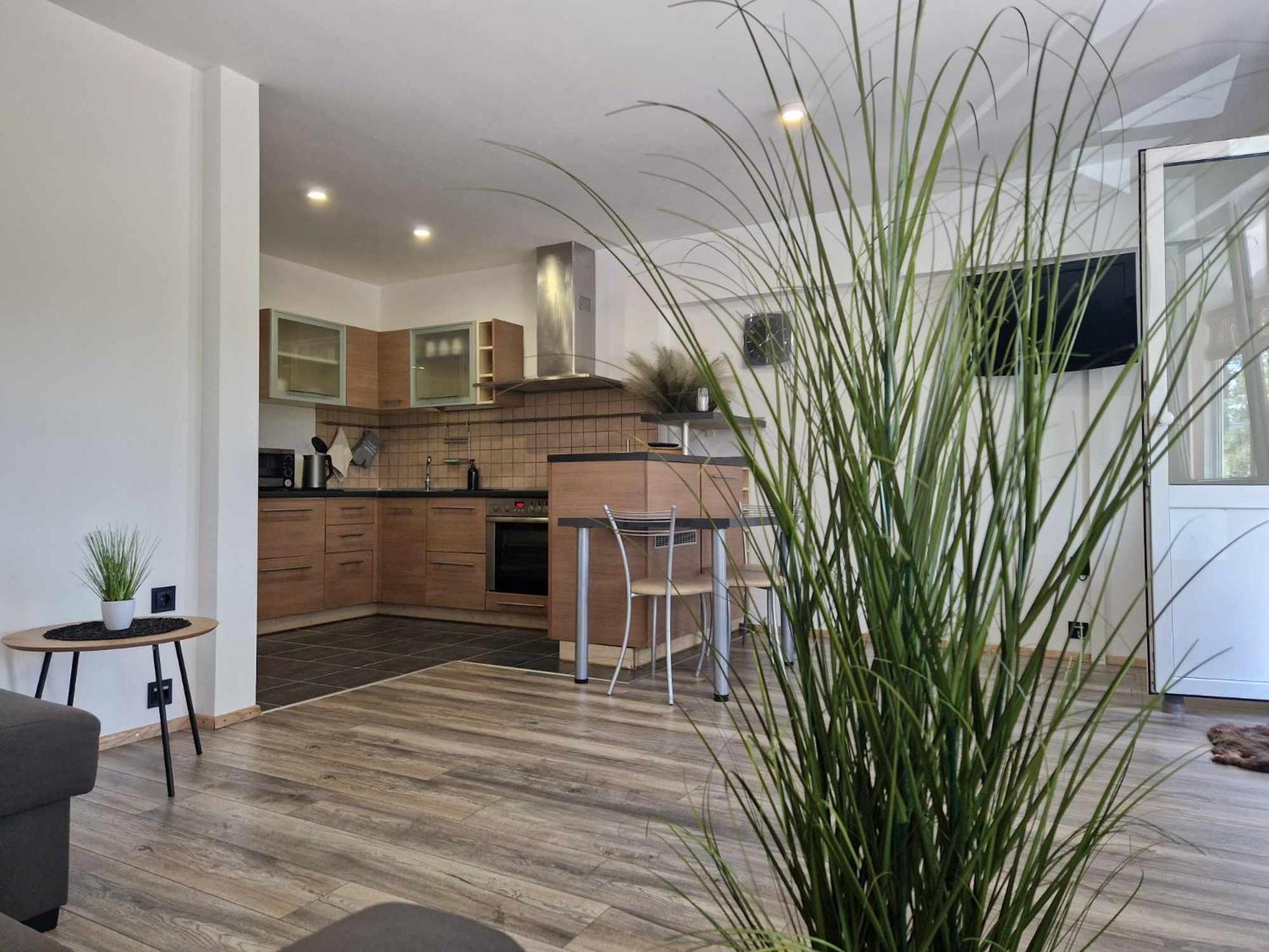 Duplex Apartment VK view 4