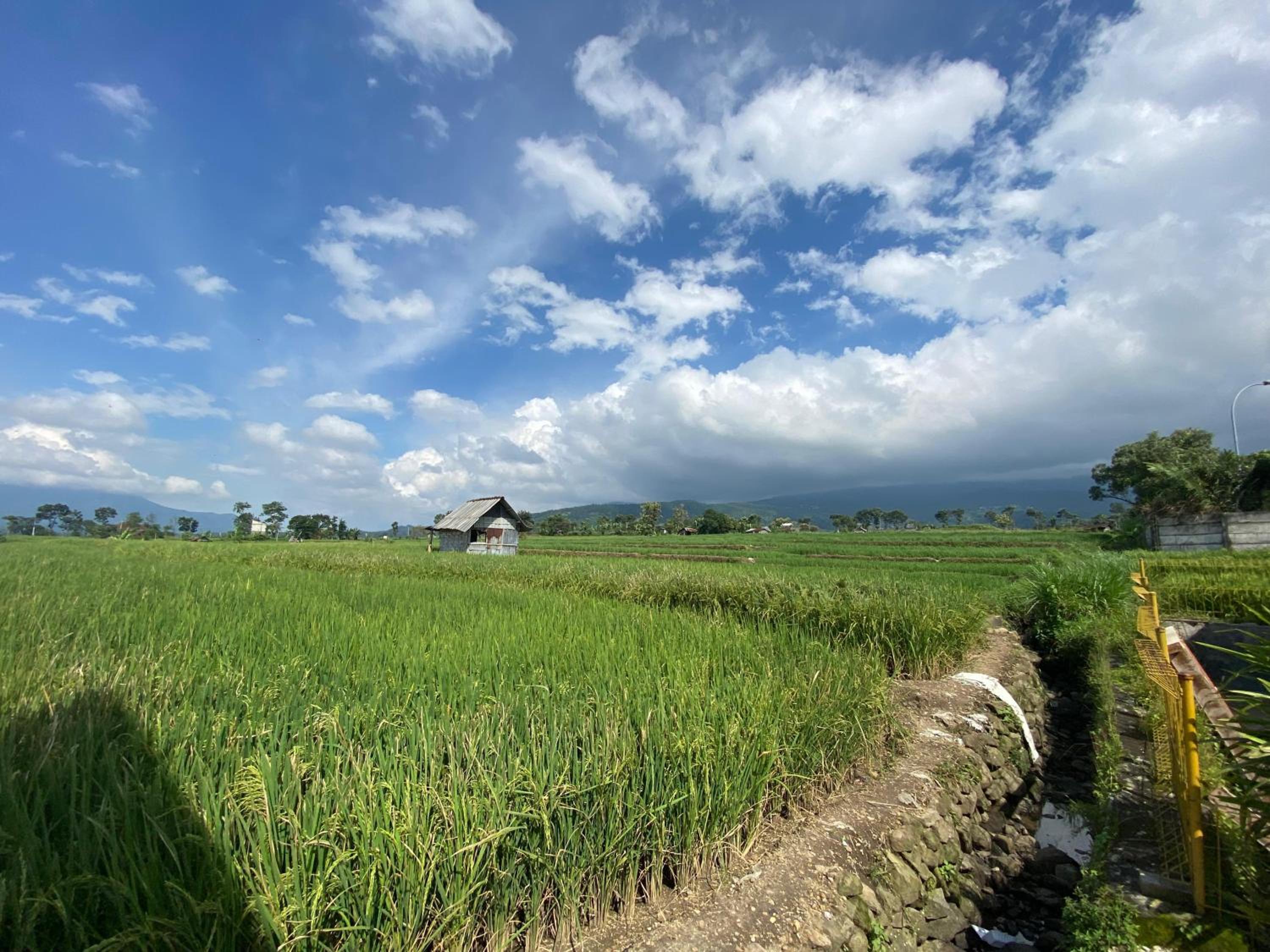 Griya Indah Homestay