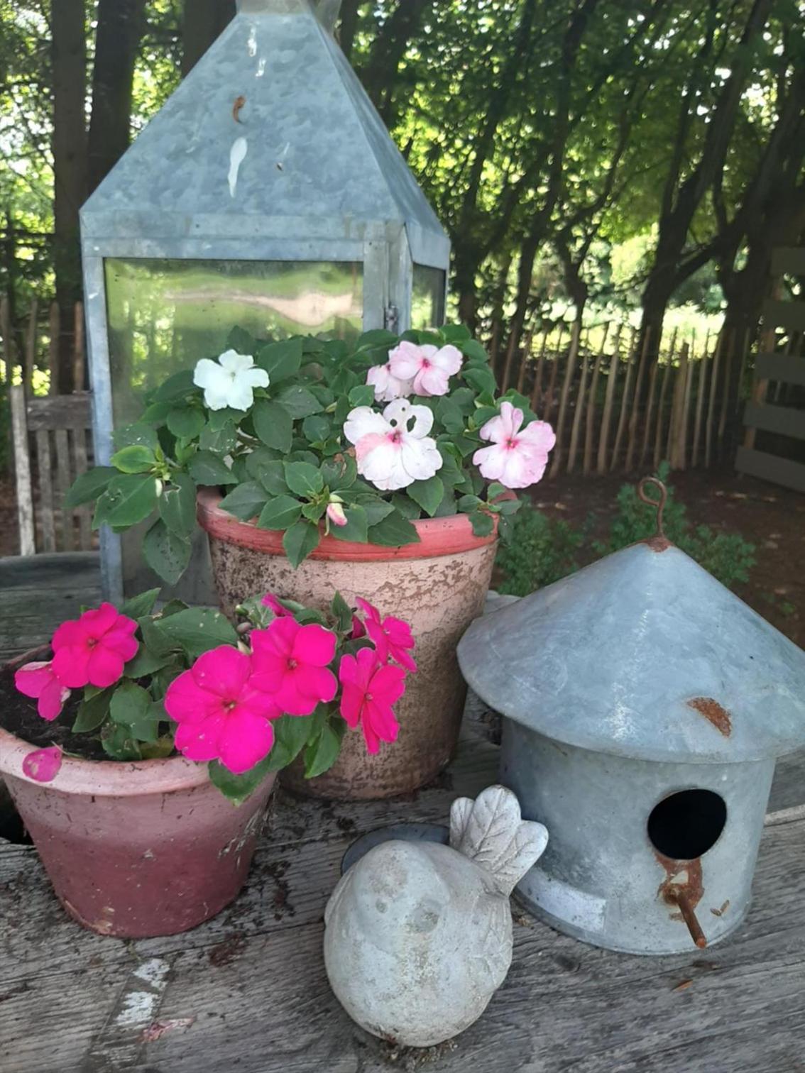 L'envie d'ailleurs