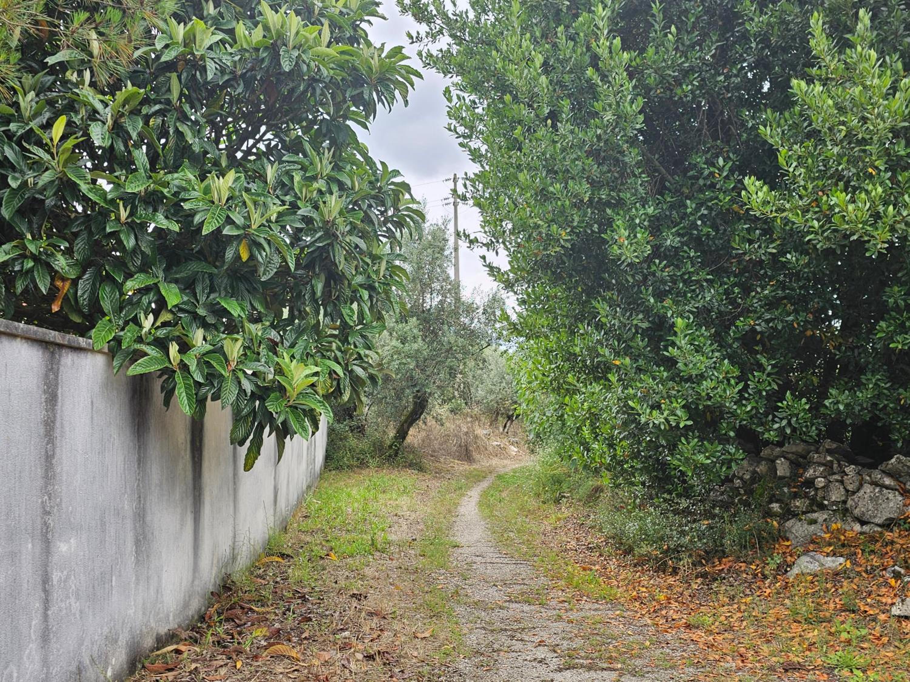 Photo 49