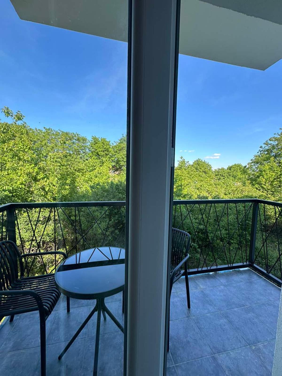 Apartman Igor view 3