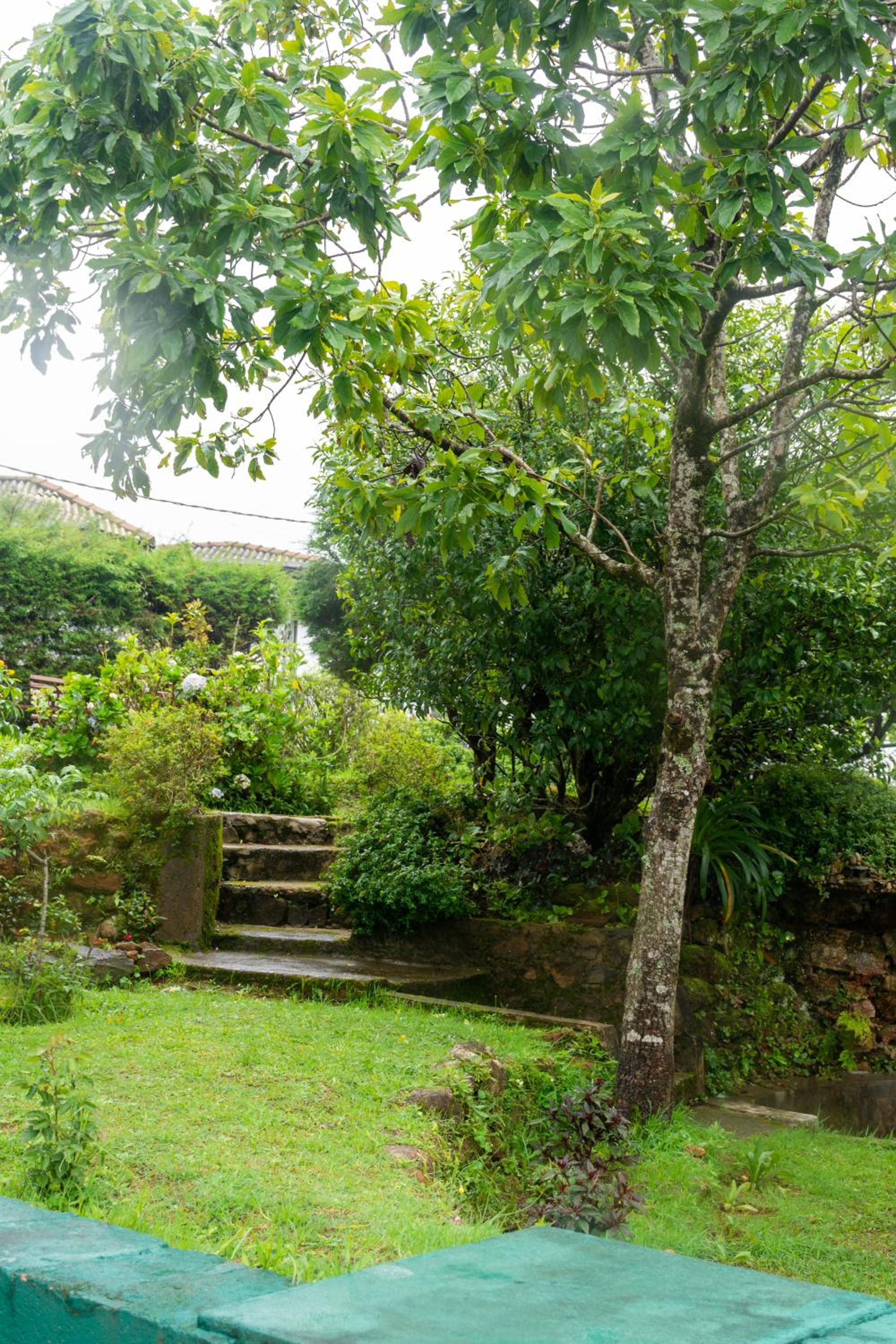 Tranquil Garden Nuwara Eliya