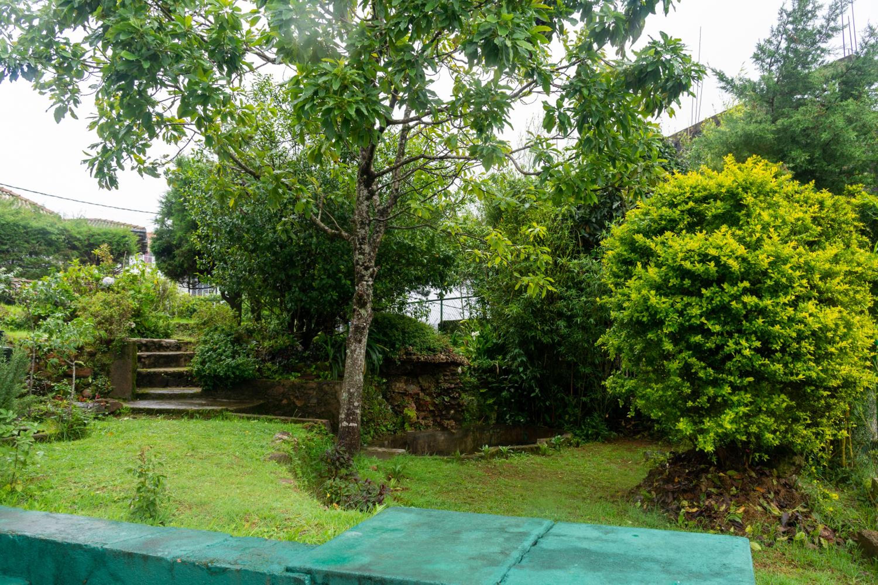 Tranquil Garden Nuwara Eliya
