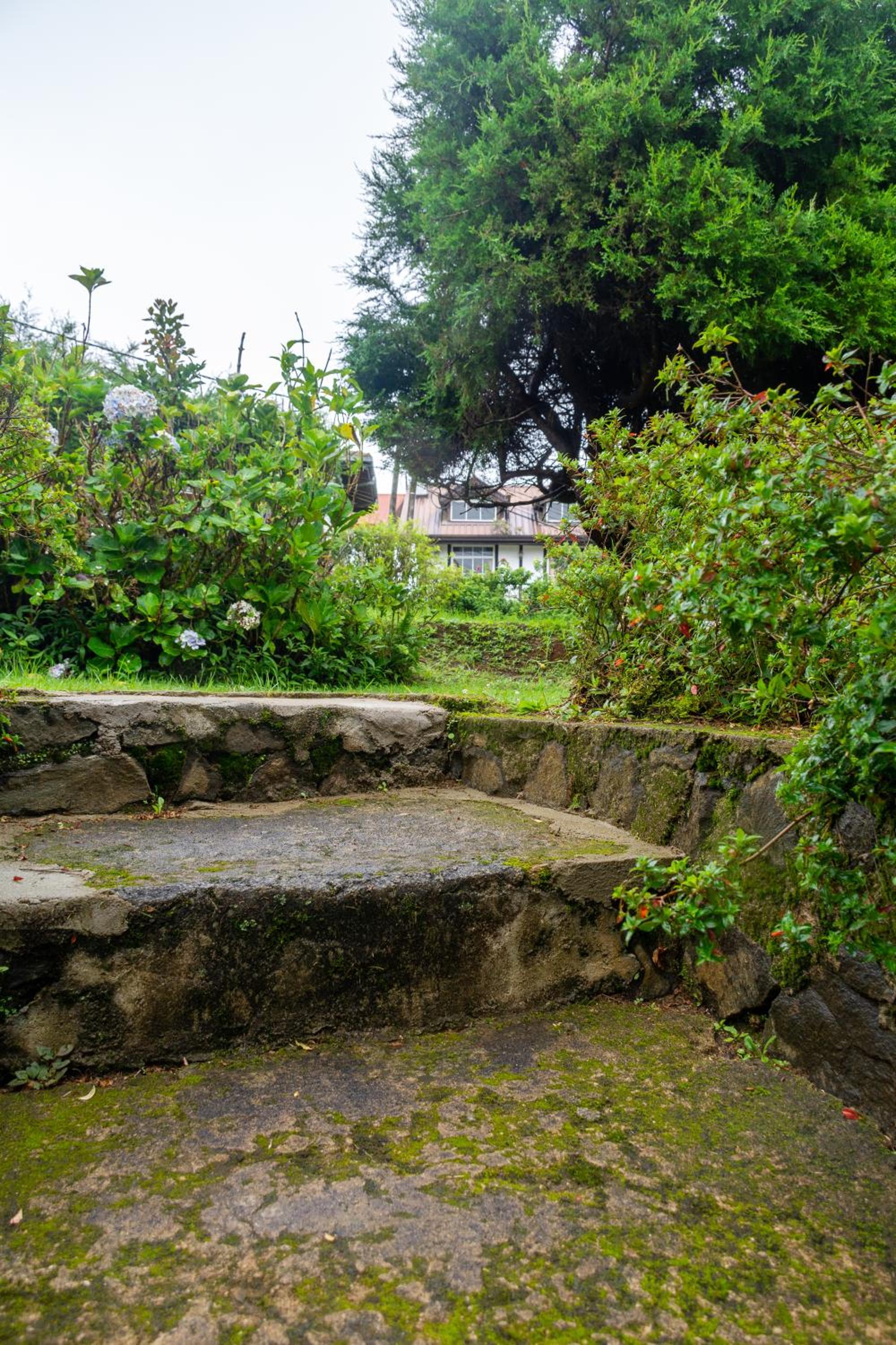 Tranquil Garden Nuwara Eliya