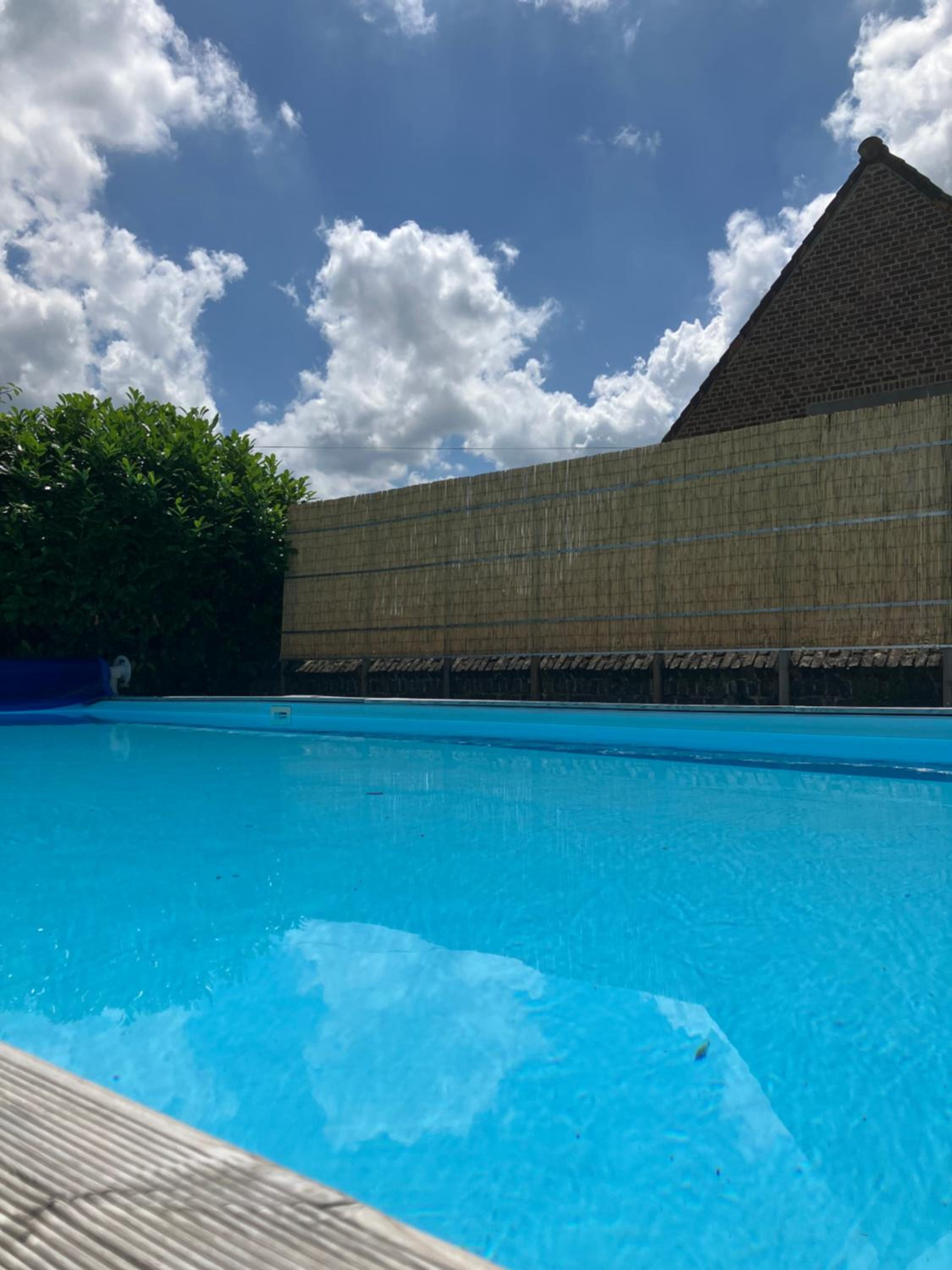 La Canopée, photo 22